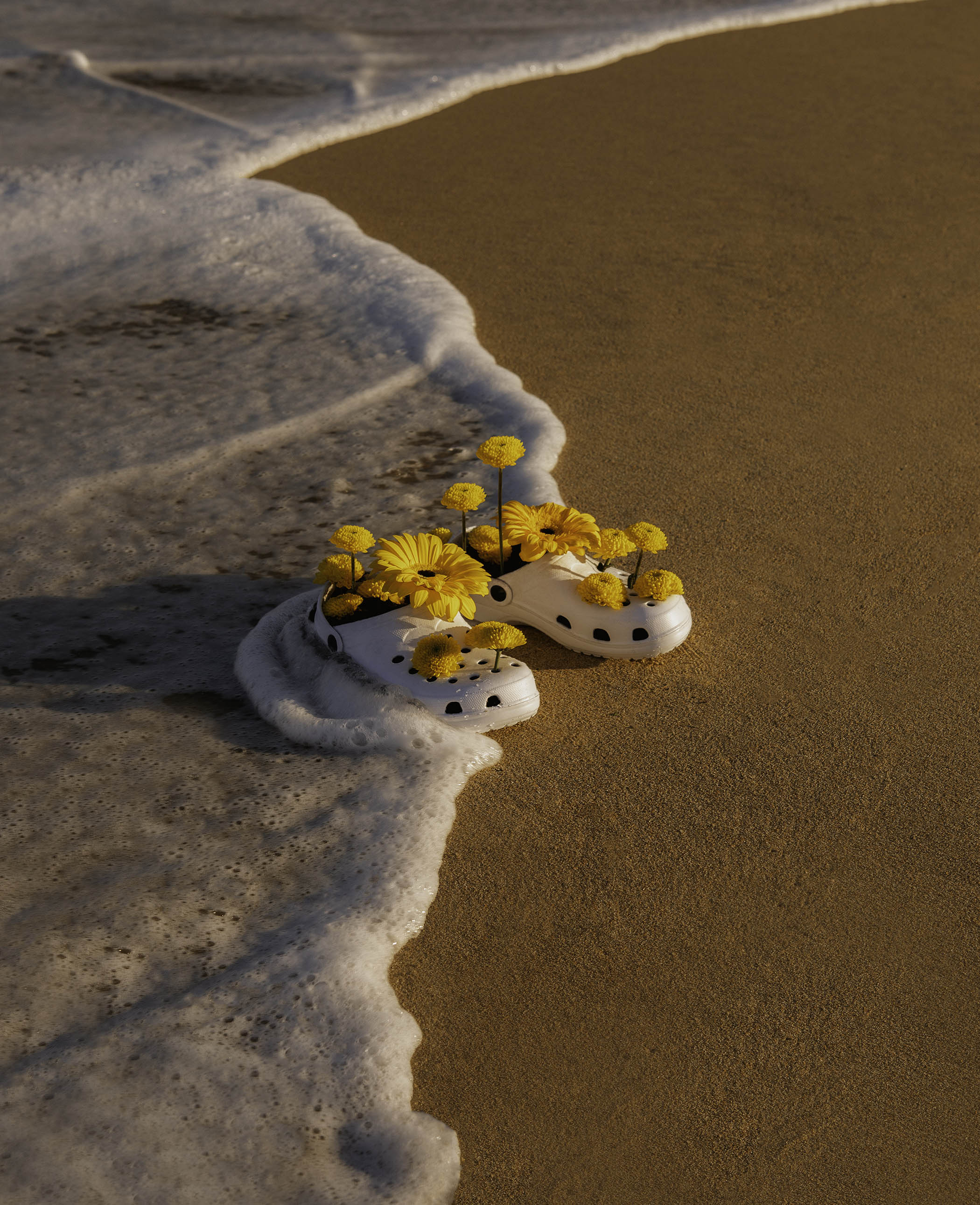 one of article images