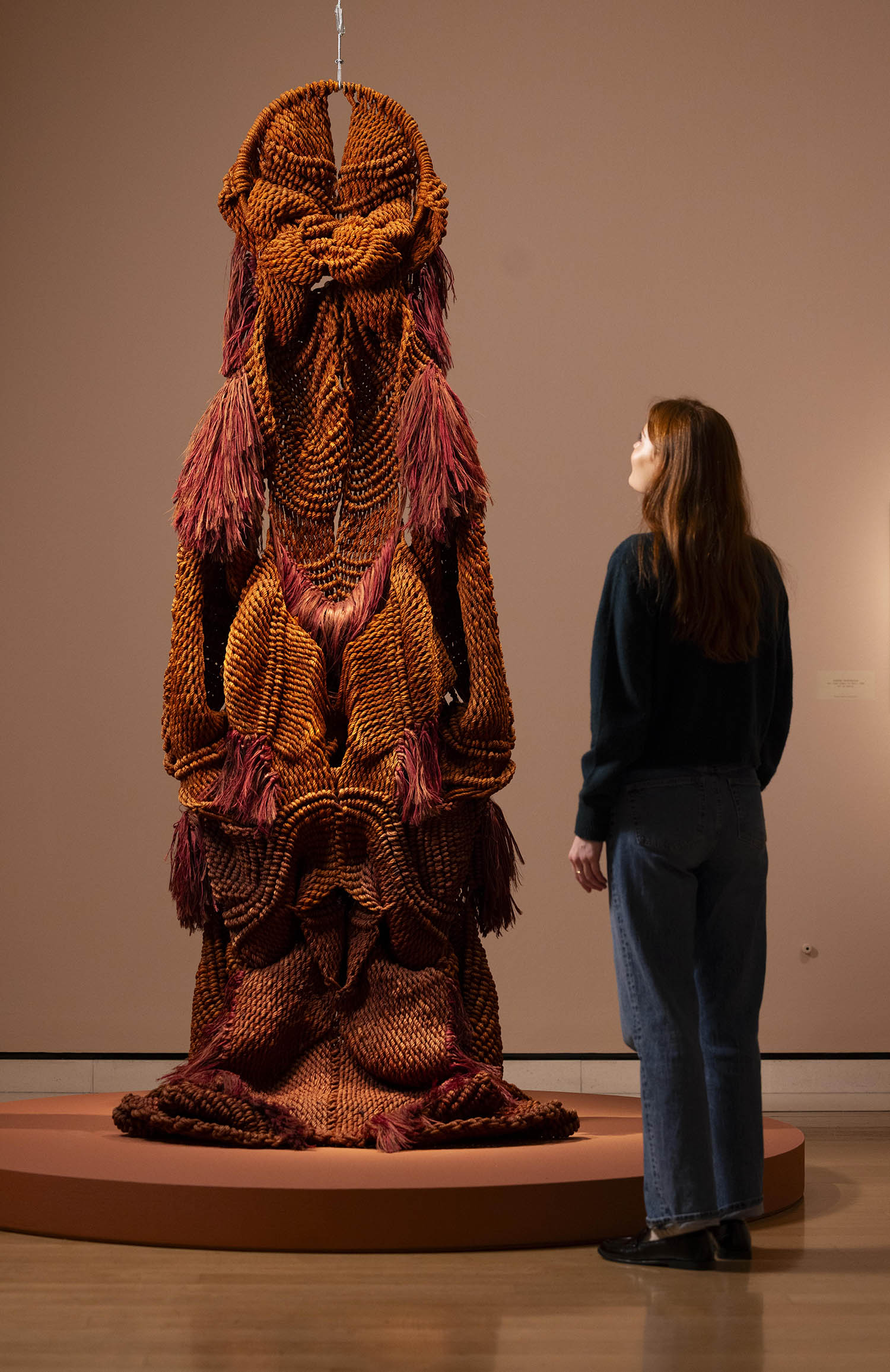 ‘Fibrous forms seem both vegetable and human’: Mrinalini Mukherjee’s Pakshi, 1985, made from dyed fibre