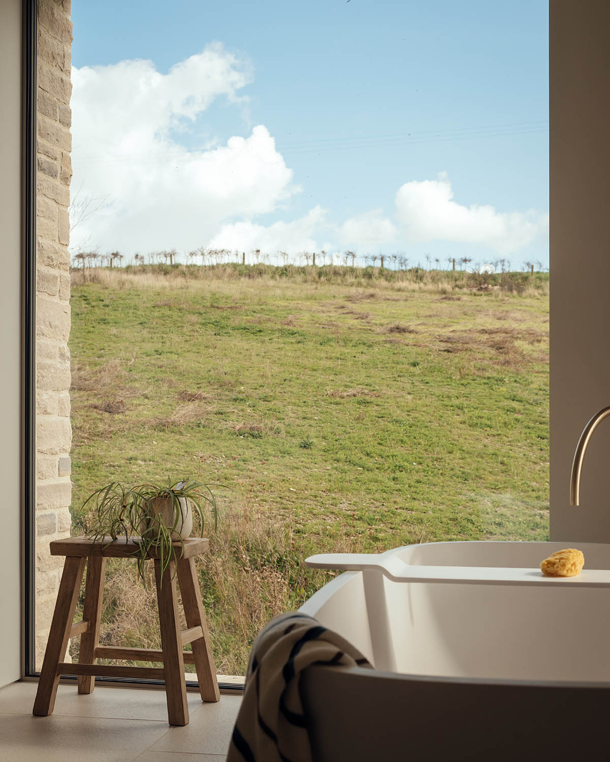 Green and pleasant: the house blends into its surroundings