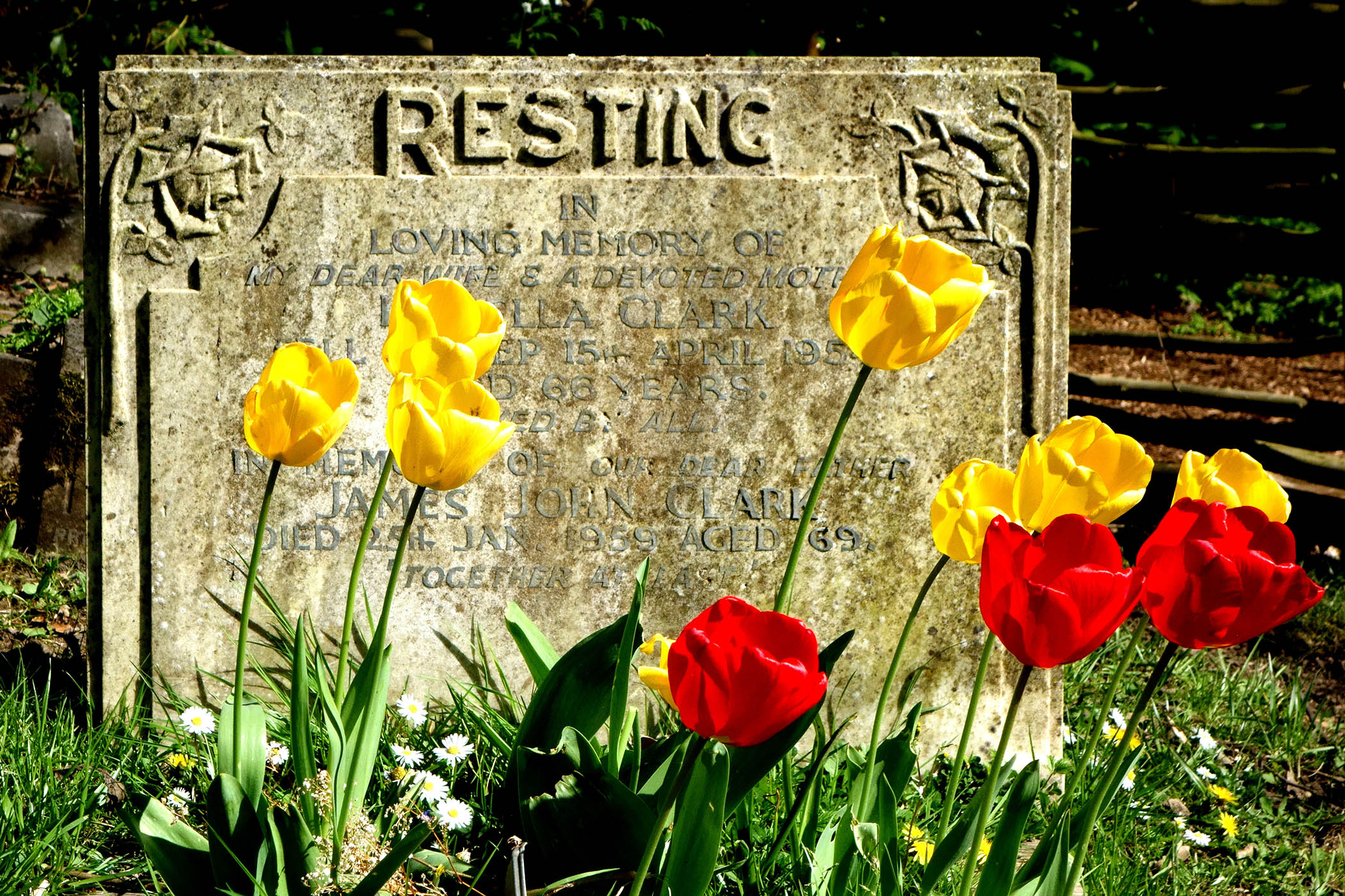 Euphemisms for death just kill me