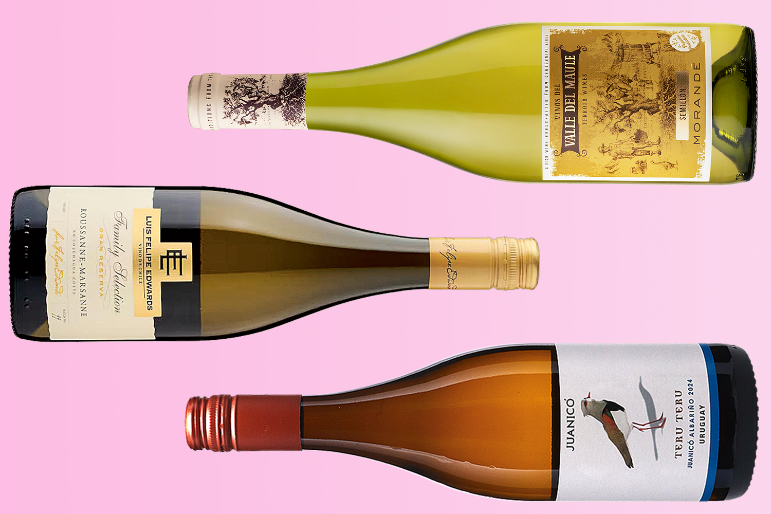 Interesting and original whites from both Chile and Uruguay