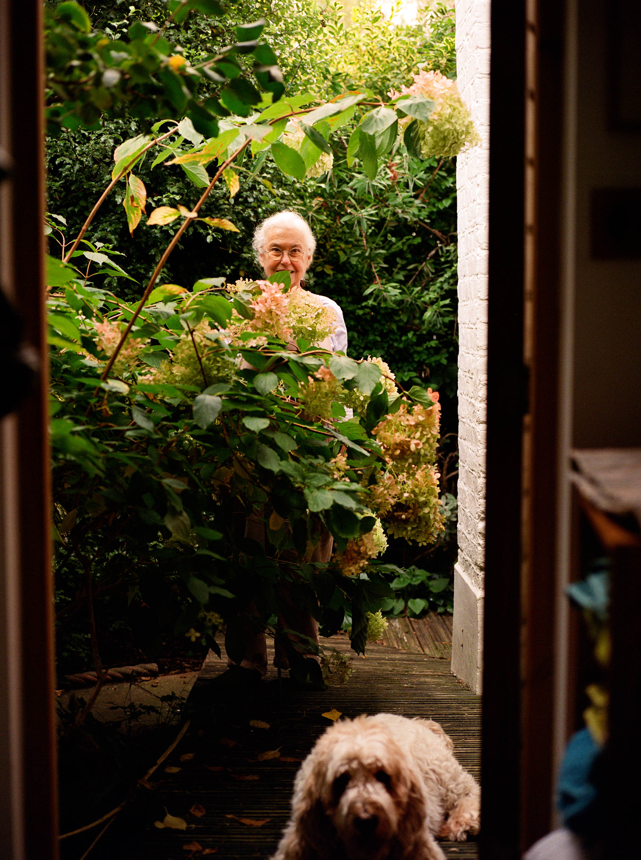 Blooms with a view: in the garden with Lobos