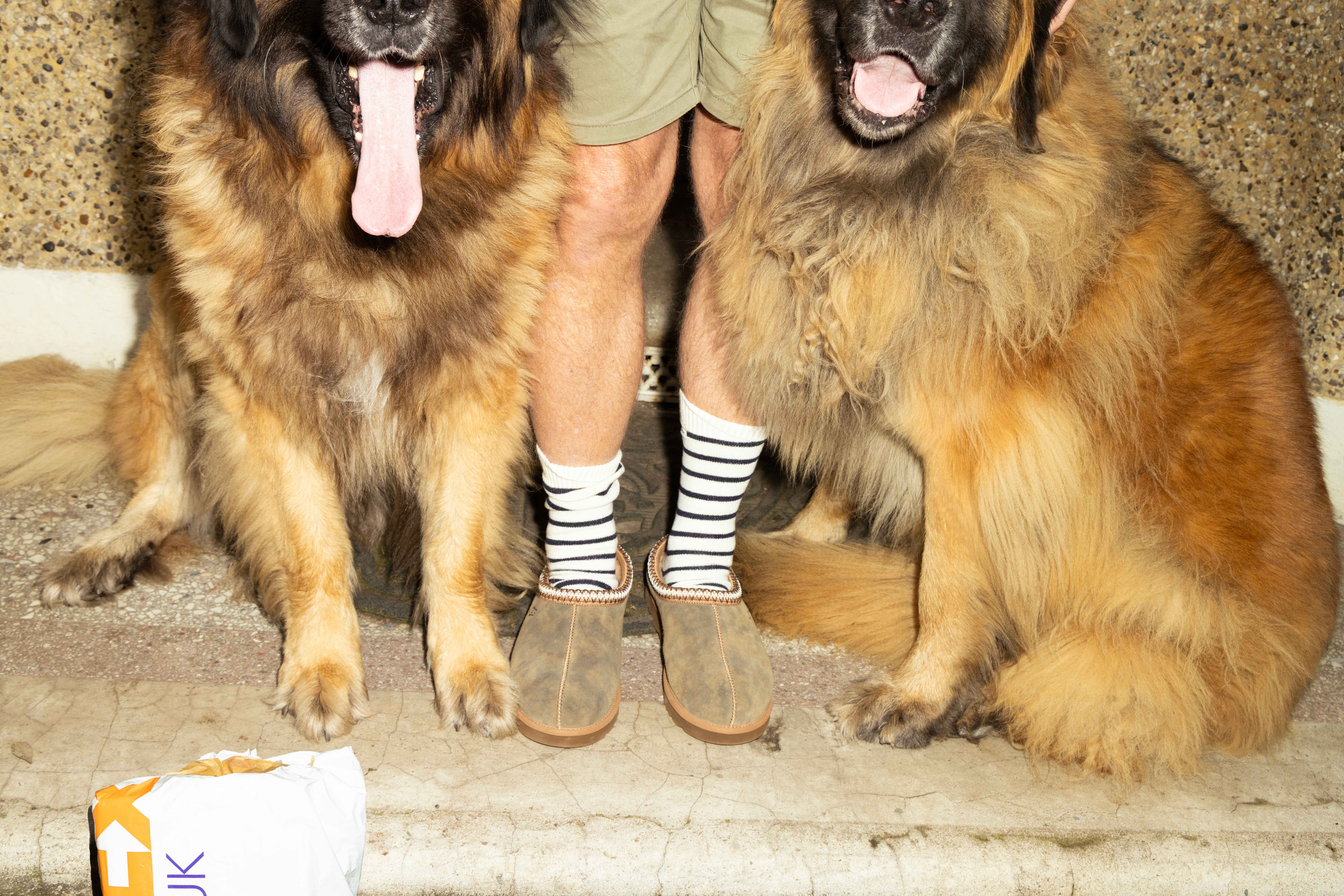 Parcel left with neighbourTasman Baxter slippers, £120, Ugg. Cashmere socks, £70, Tekla