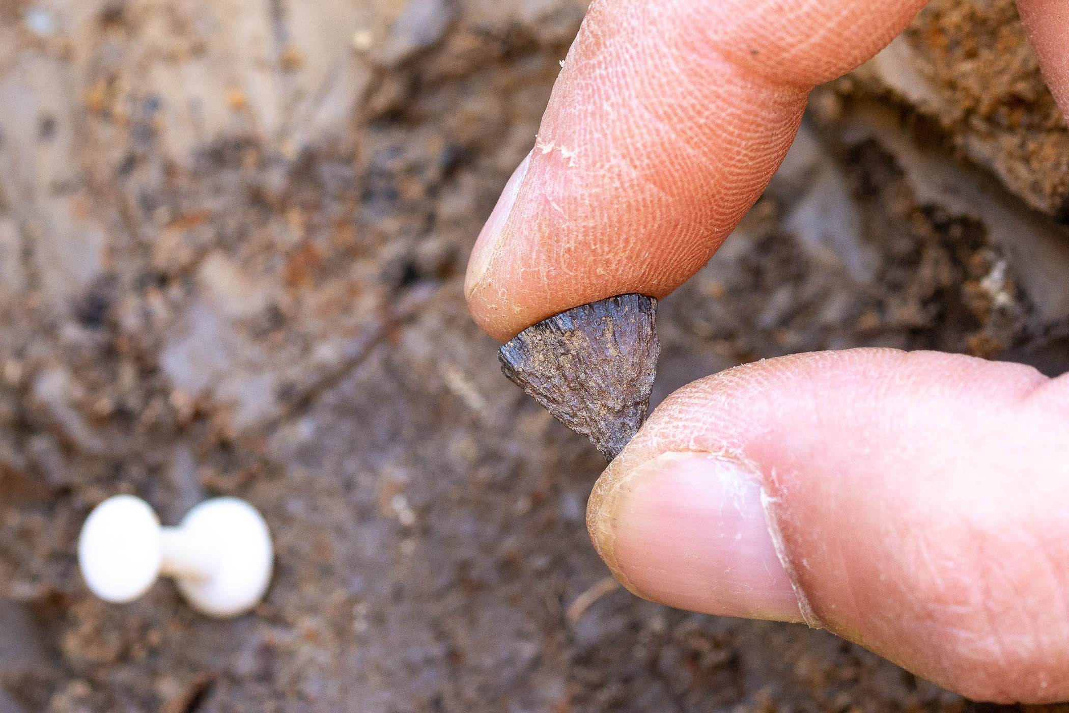 Iron pyrite, which was used as fire starter in prehistory