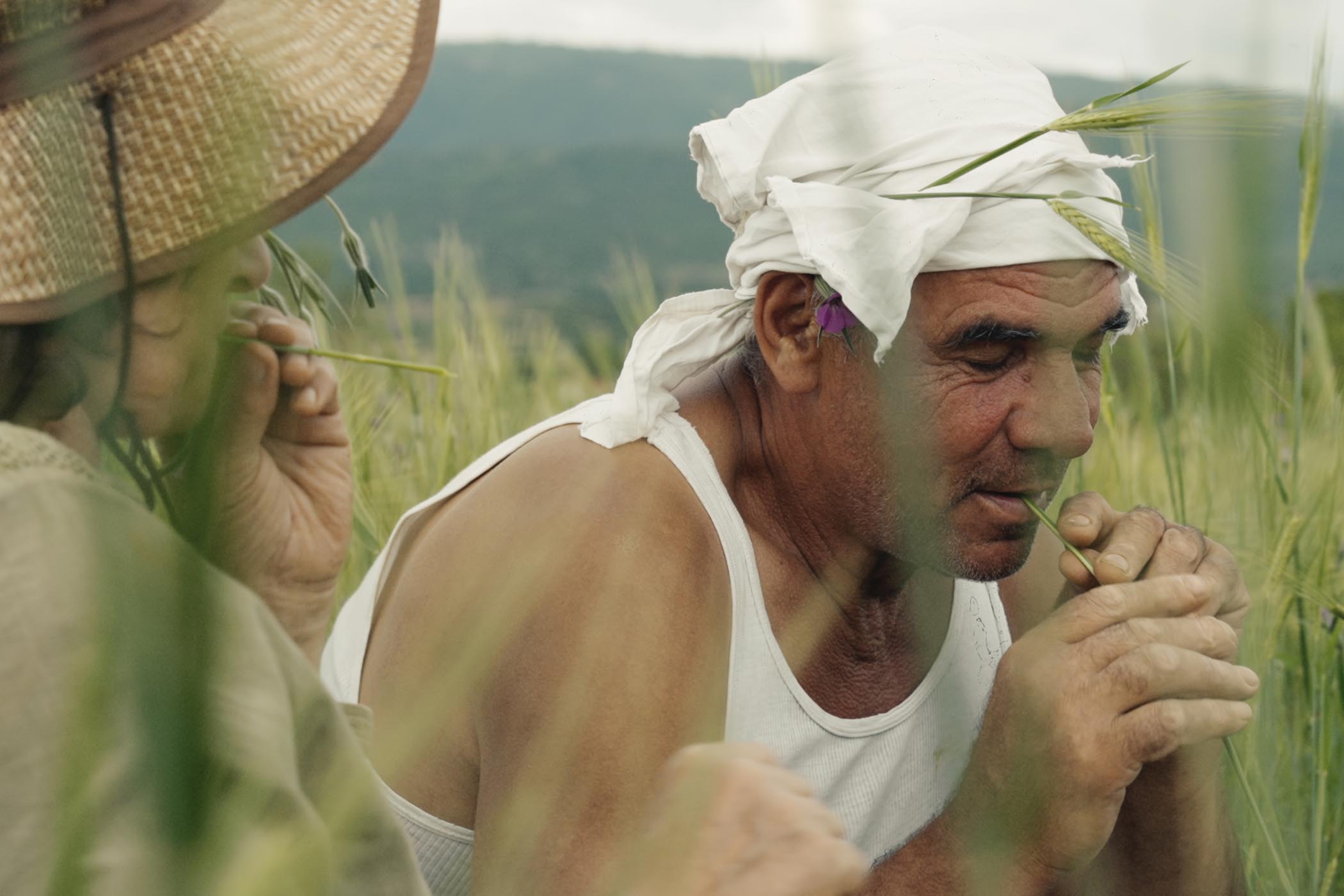 Nikola, a farmer in North Macedonia, is the subject of the deft, inventive documentary The Tale of Silyan