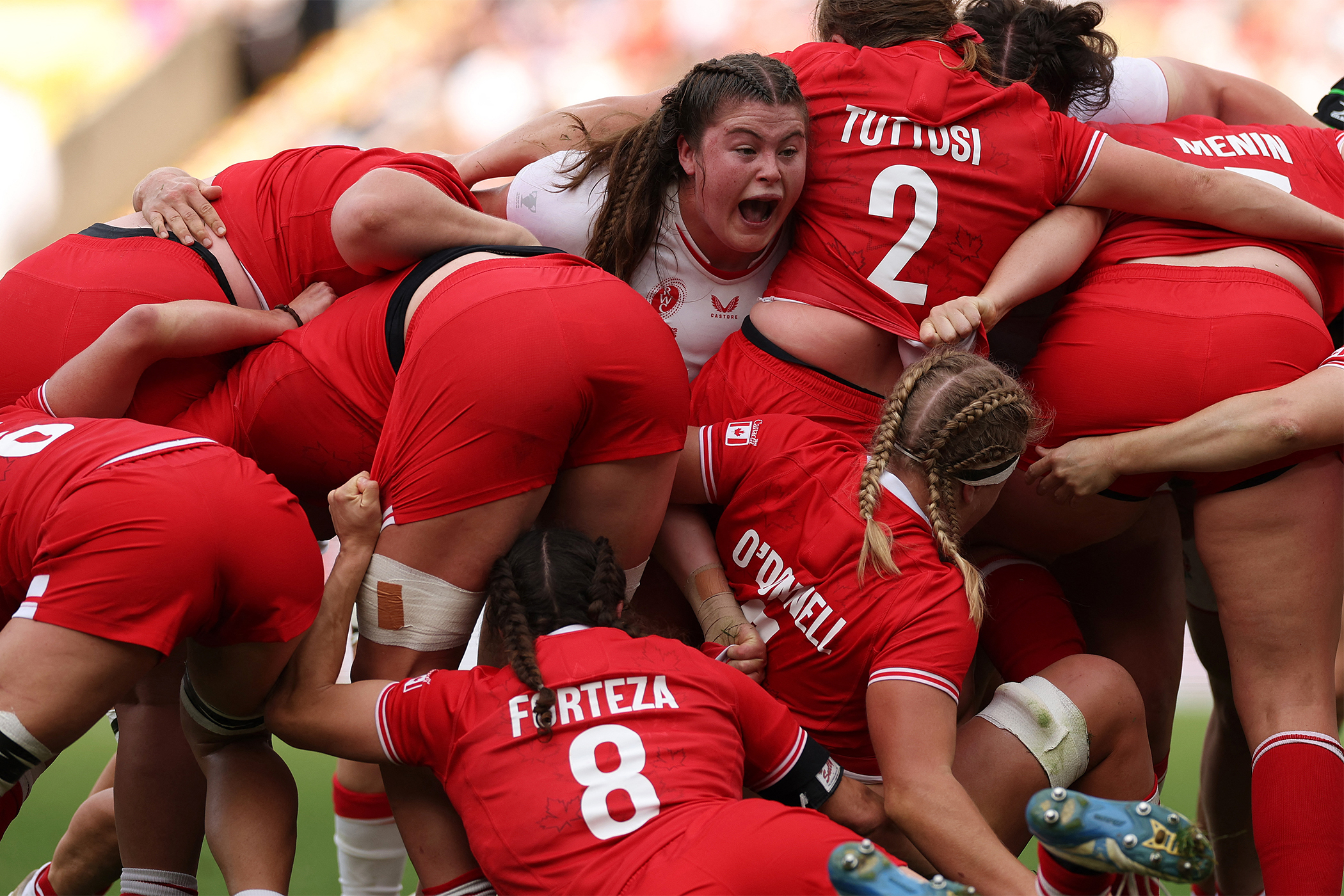 Photograph by Adrian Dennis/AFP via Getty Images