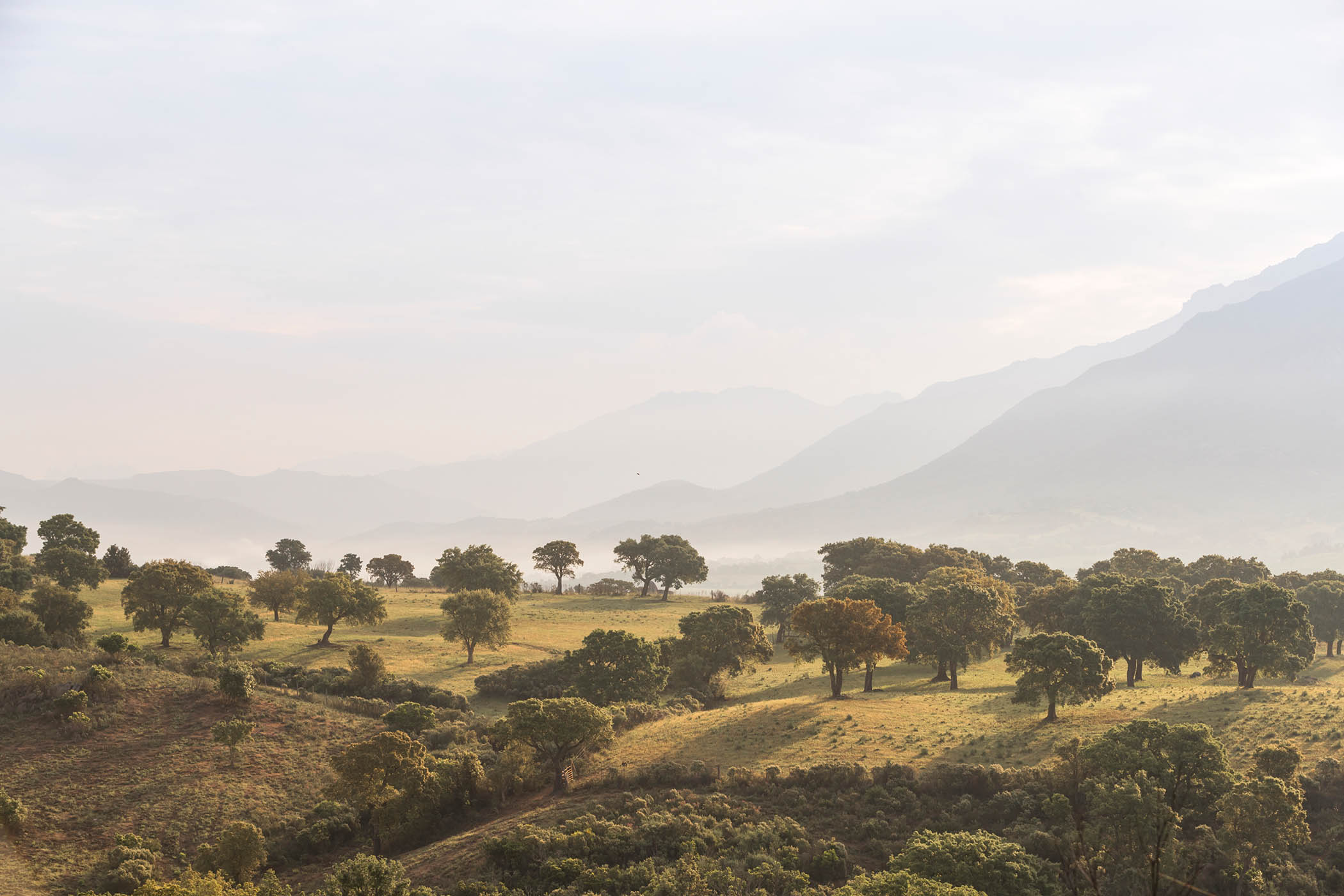 Landscape around Sartène, Corsica, France