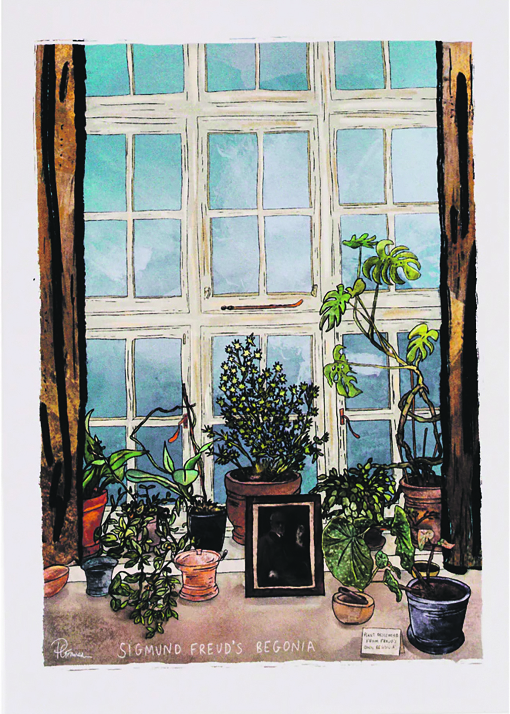 The begonia is depicted by Portia Graves