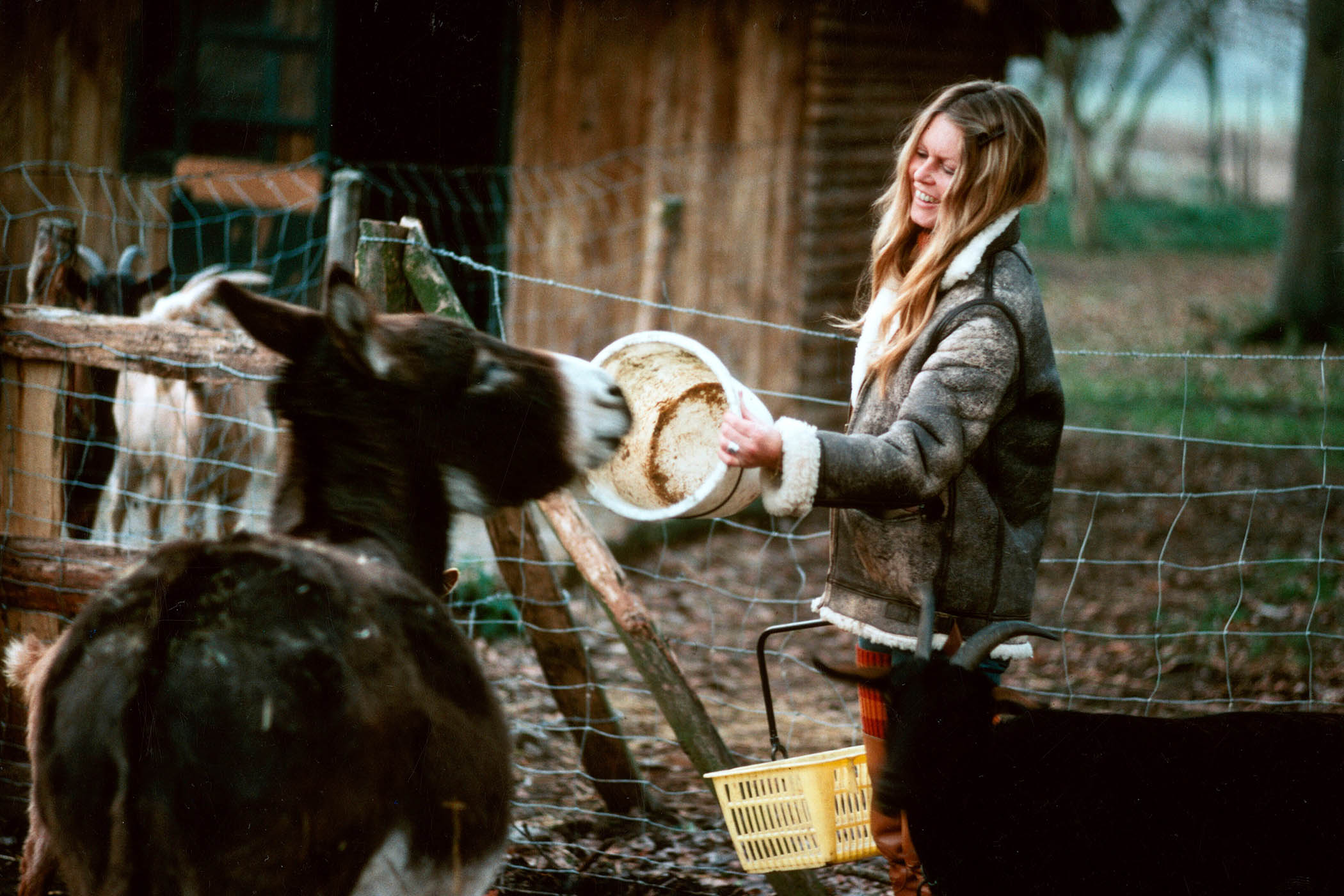 Pictured here in the early 70s, Bardot was a vocal animal rights activist