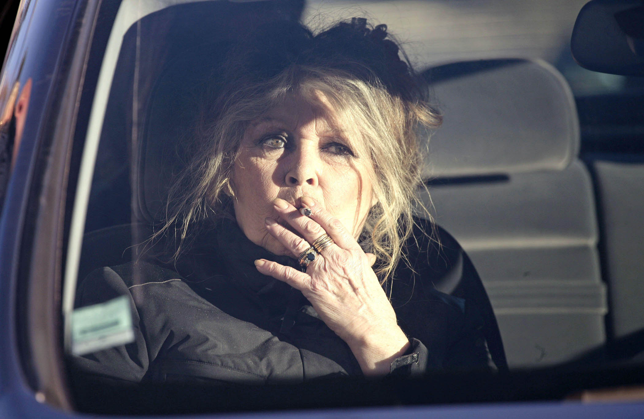 Bardot, pictured in 2005