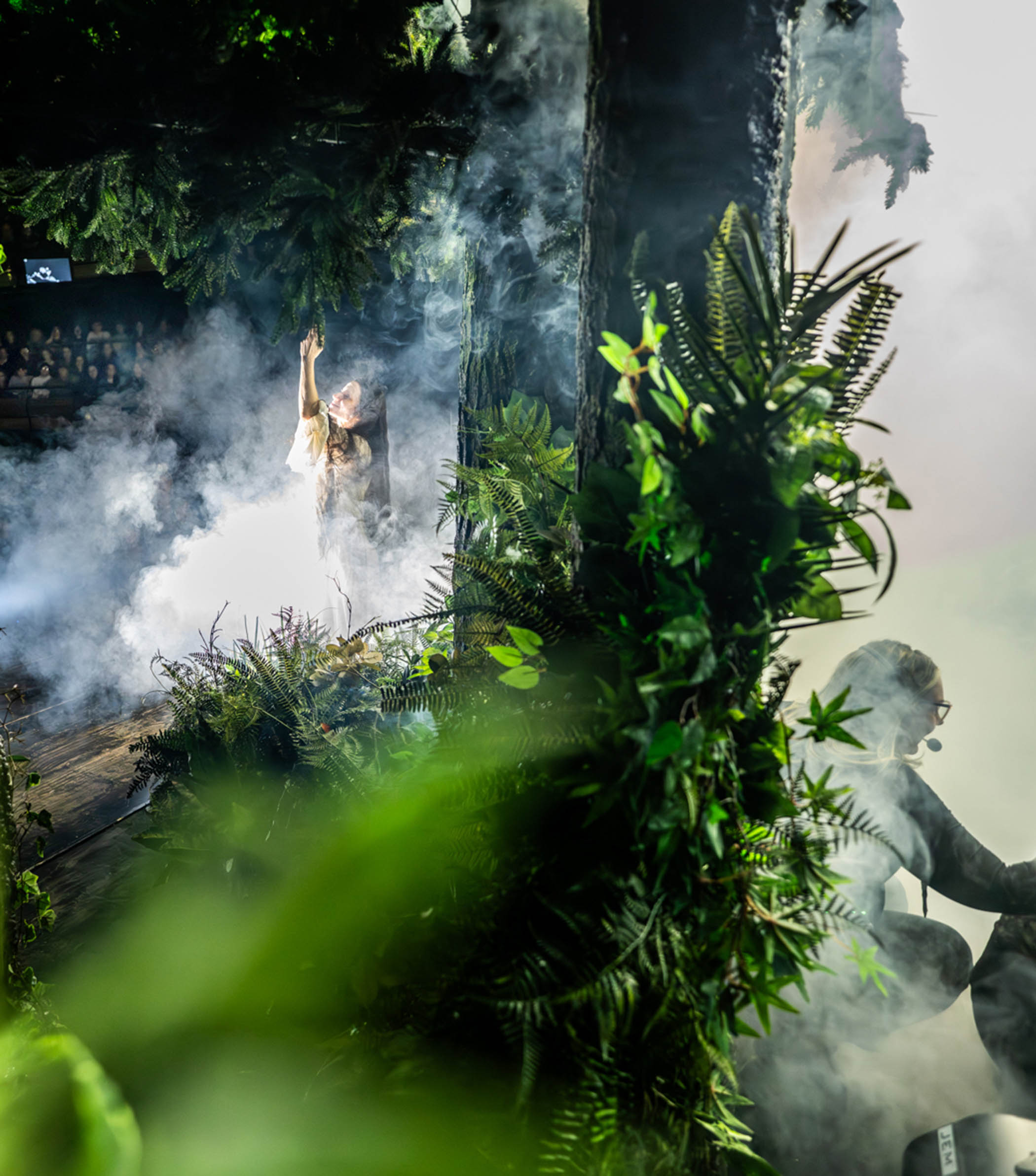 The woodland filled with ‘mystical light and shade’