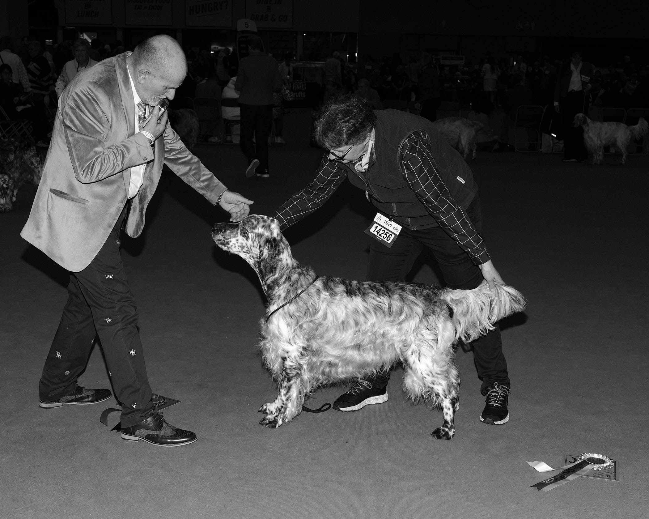 Judge Peter Upton inspects Piper, the smart English setter who won the post graduate dog class