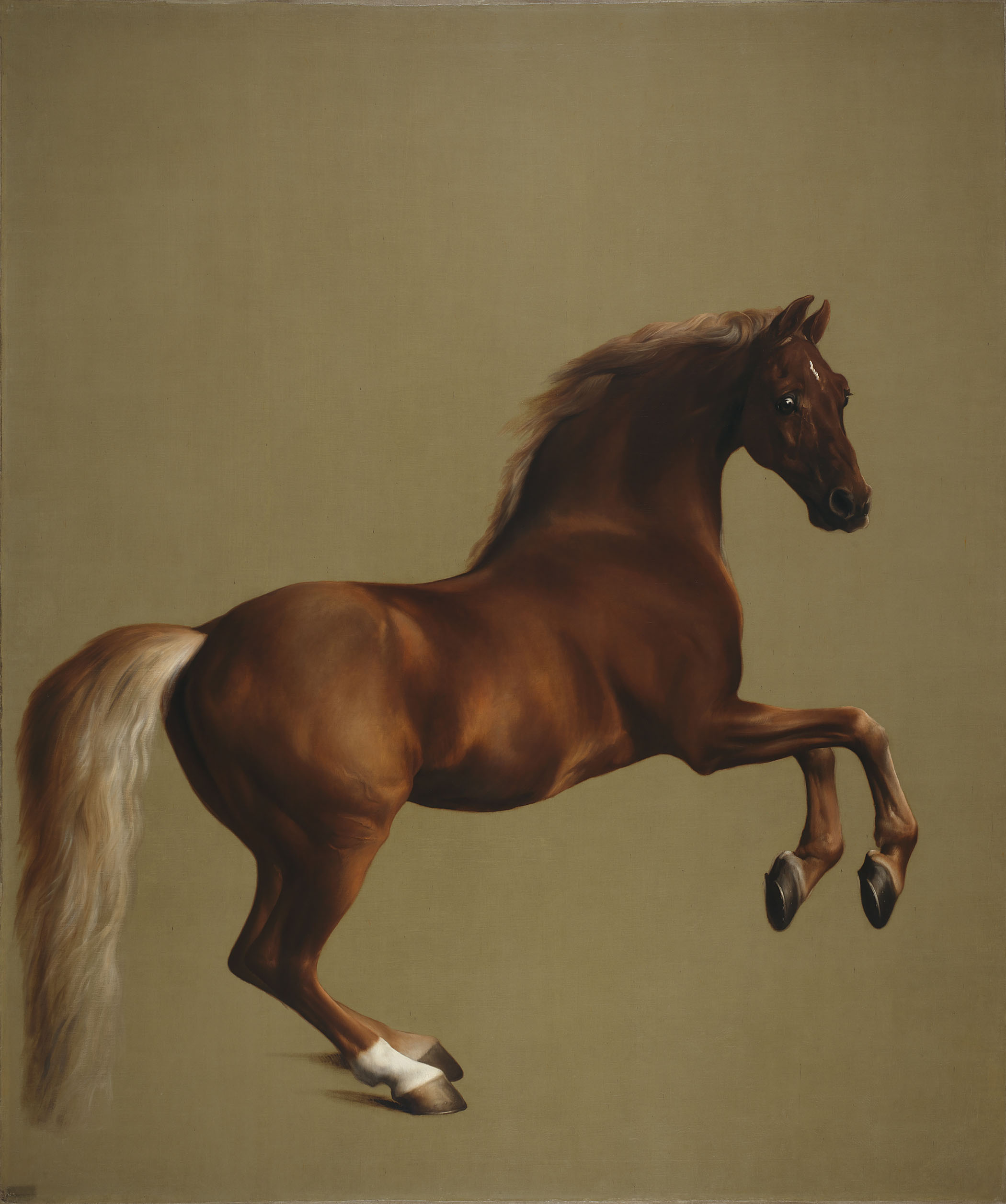 ‘No masterpiece by George Stubbs is more dazzling than Whistlejacket’