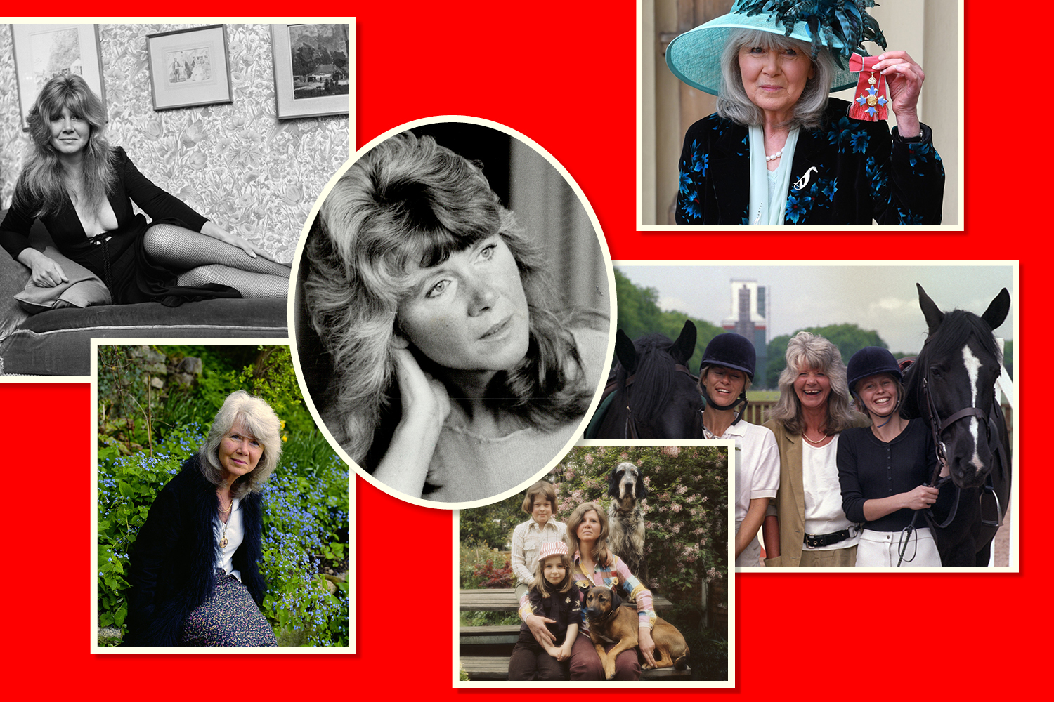 Beyond the bonkbuster: the best of Jilly Cooper