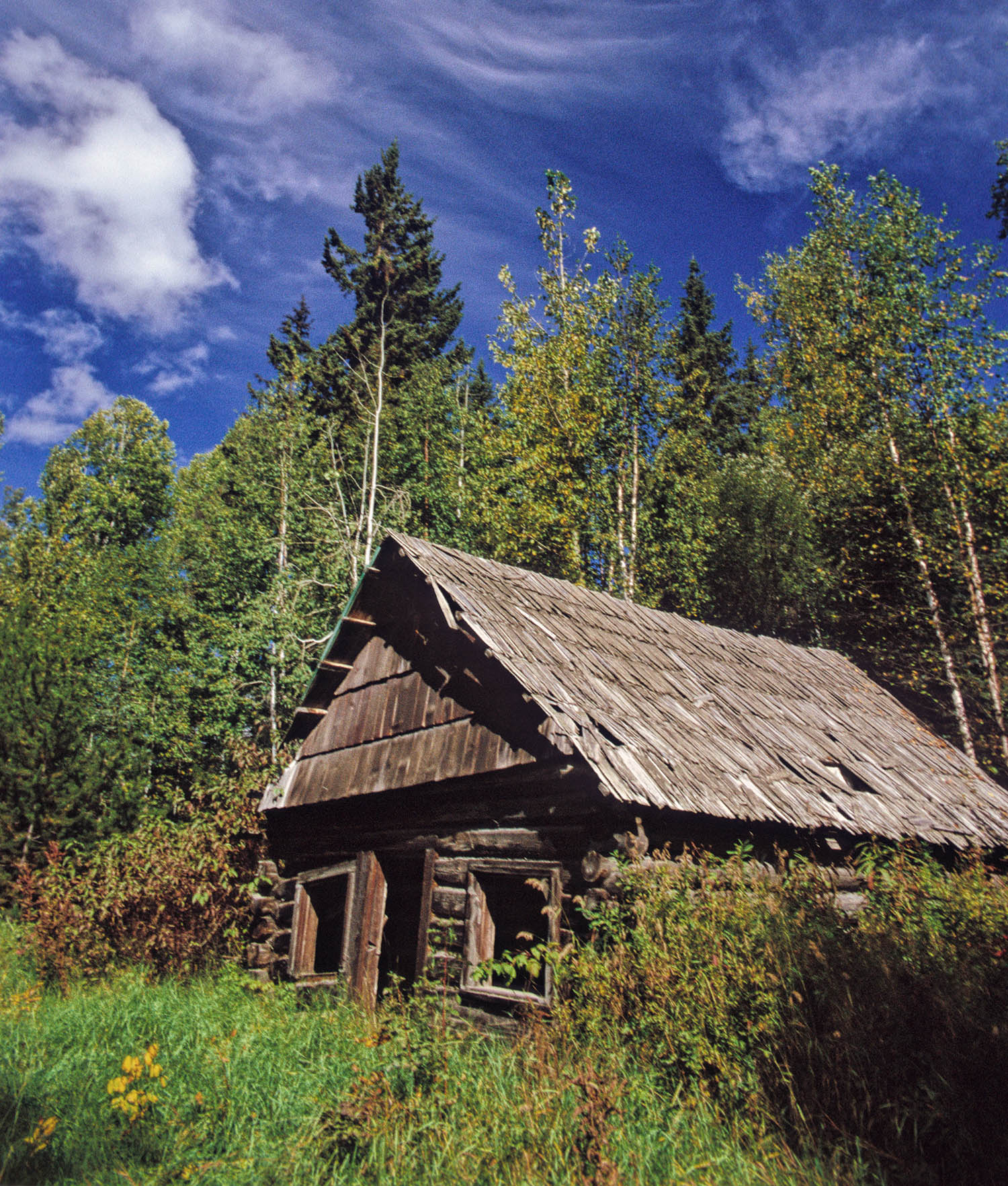 In the book, Abra leaves a comfortable existence to live in a cabin in the woods