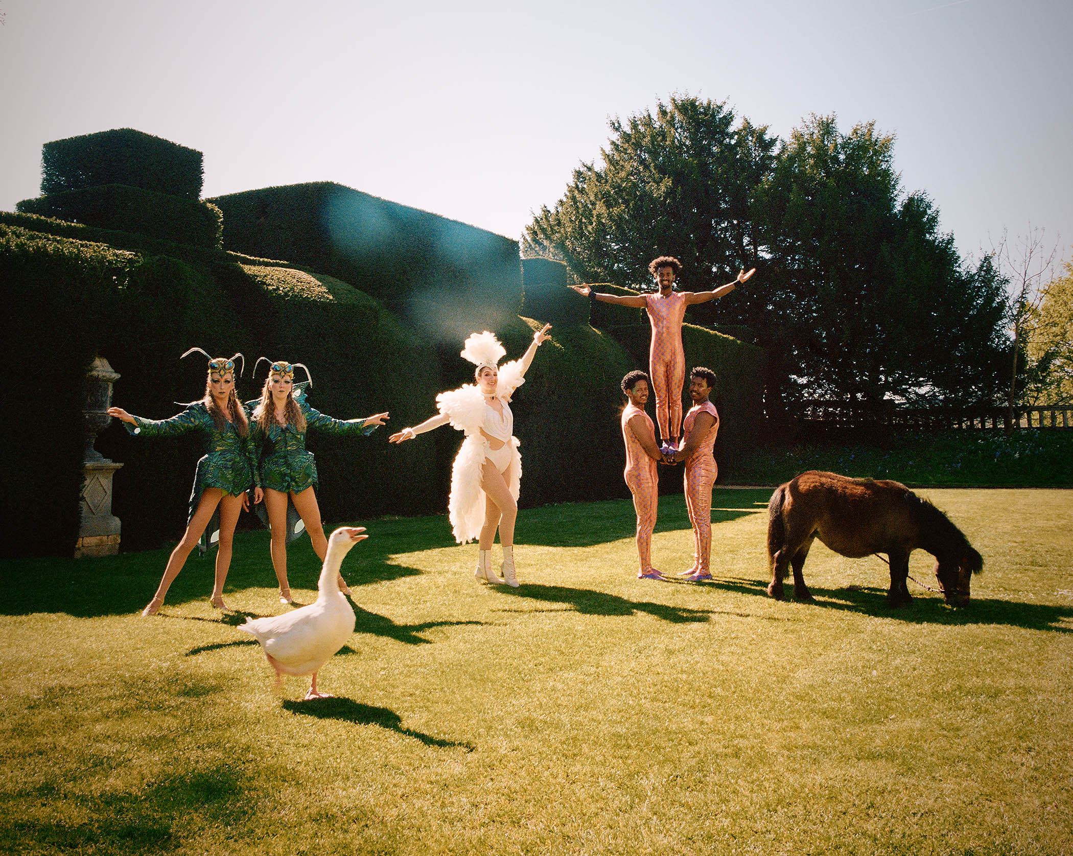 The Cienna sisters, Odette, Addis Ababa members, Brian the goose and Tinkerbell the horse