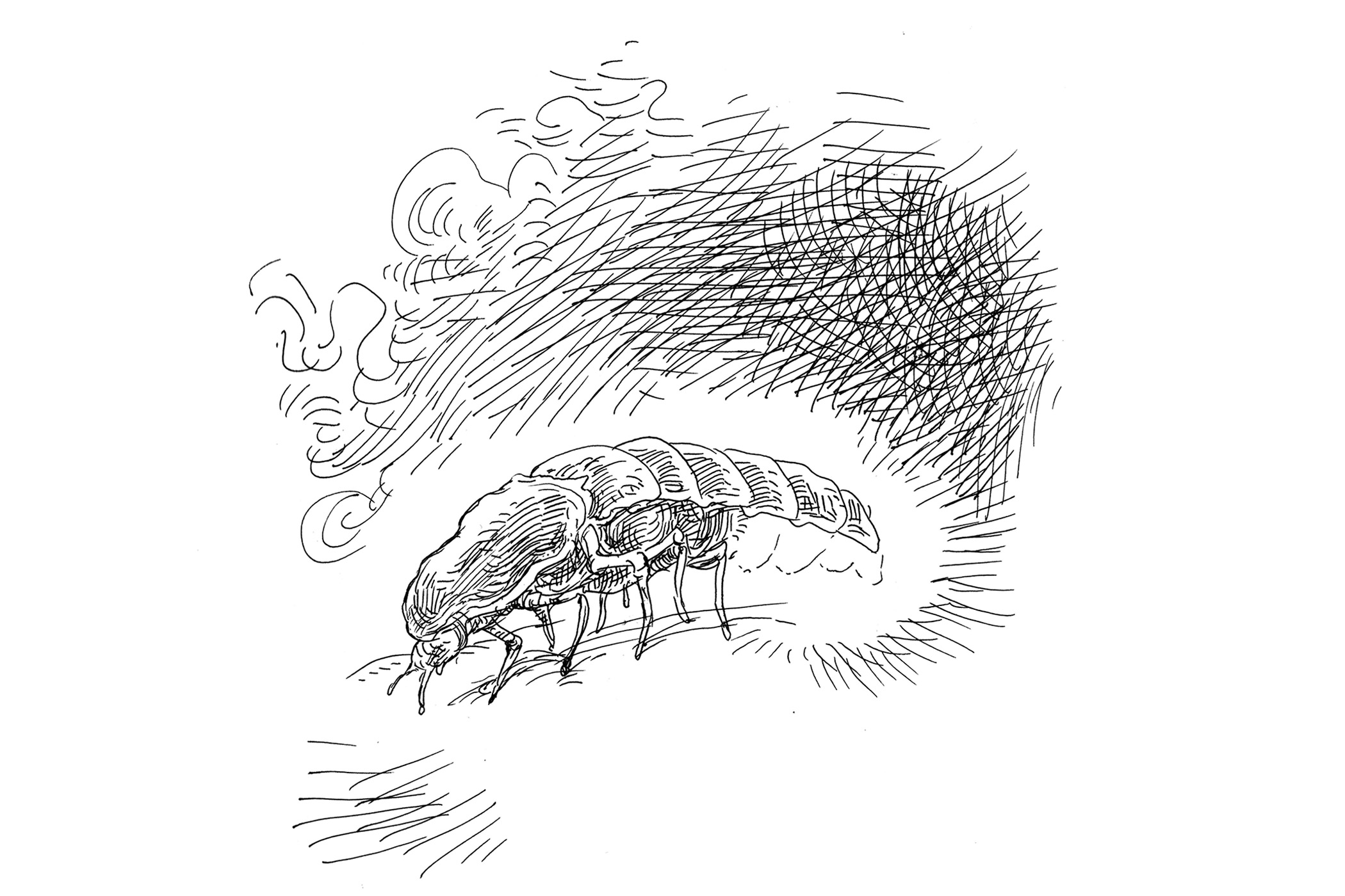 The Sunday Poem: Smoke Hangs Over the Fields, I Consider My Options by Malene Engelund