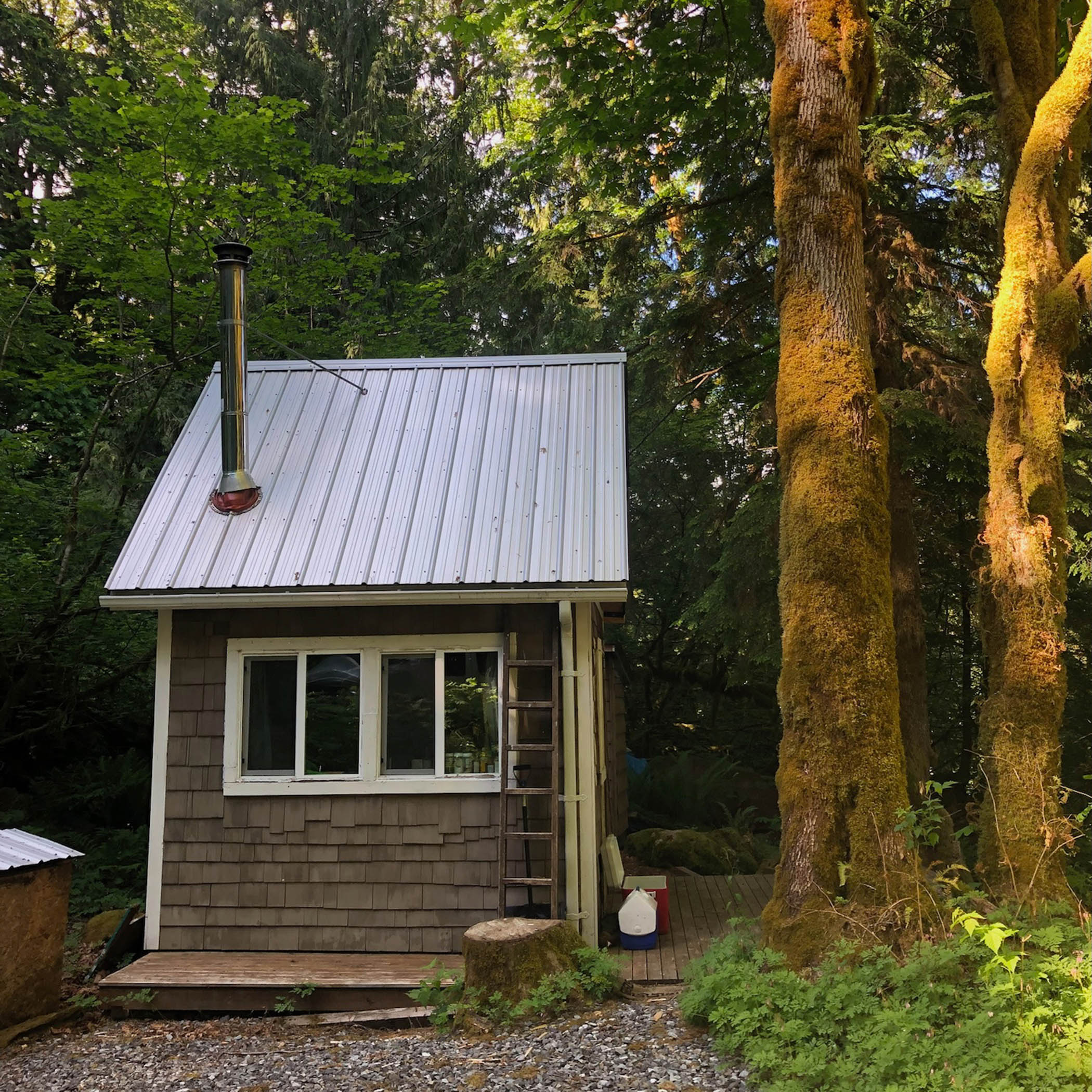 'A pale grey against a sea of emerald green': the cabin in the Cascade mountain range