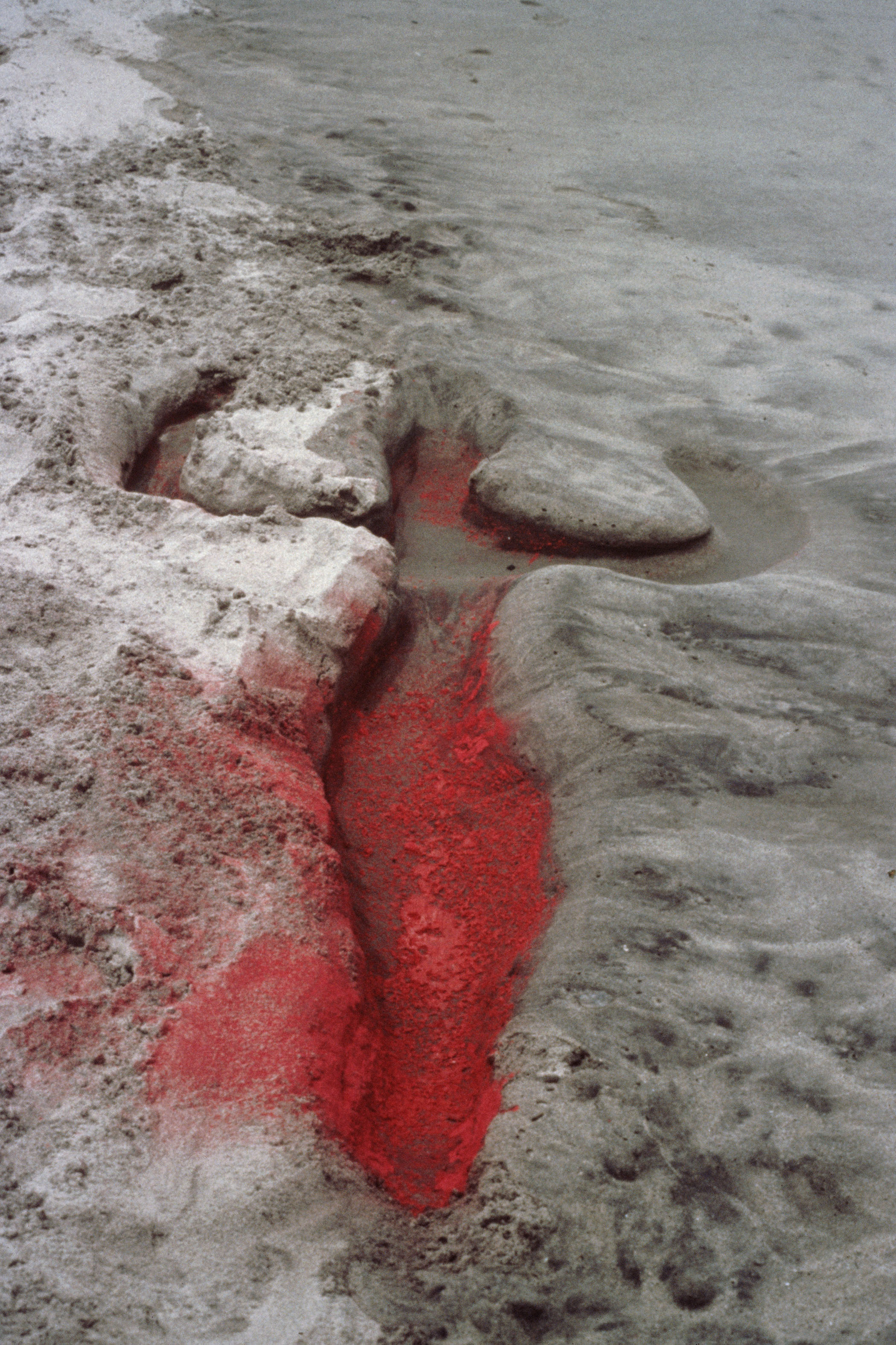 ‘Occasionally, there is a shallow space where a body once lay’: from Ana Mendieta’s Silueta series, 1976. Main image: Bird Run, 1974