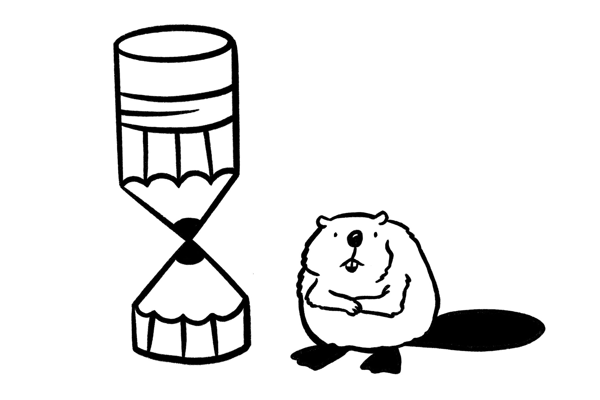 How beavers make the environment a dam sight better