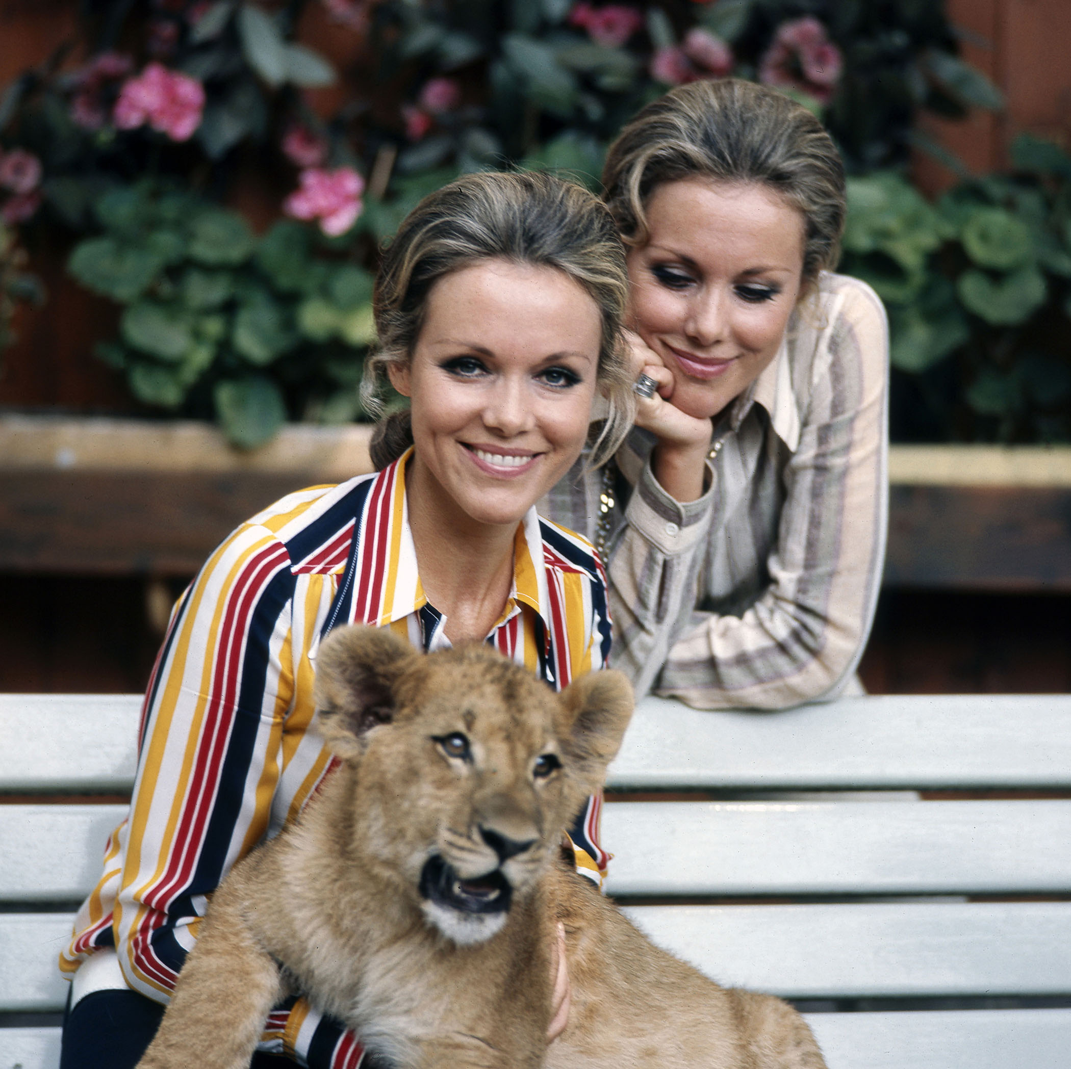 Posing together for a photo with a lion cub, circa 1970