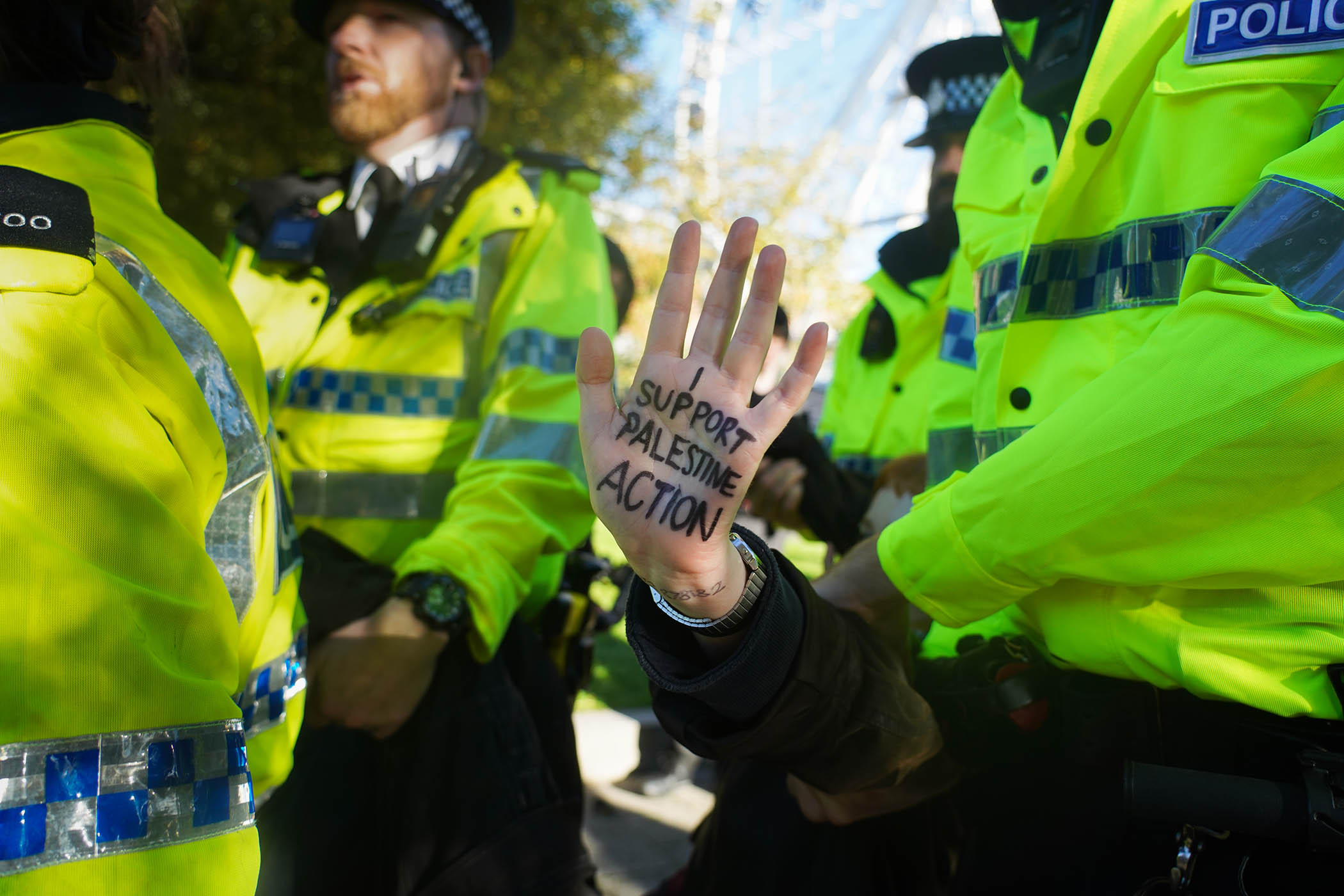 Labour MPs say Palestine Action ban should be reassessed