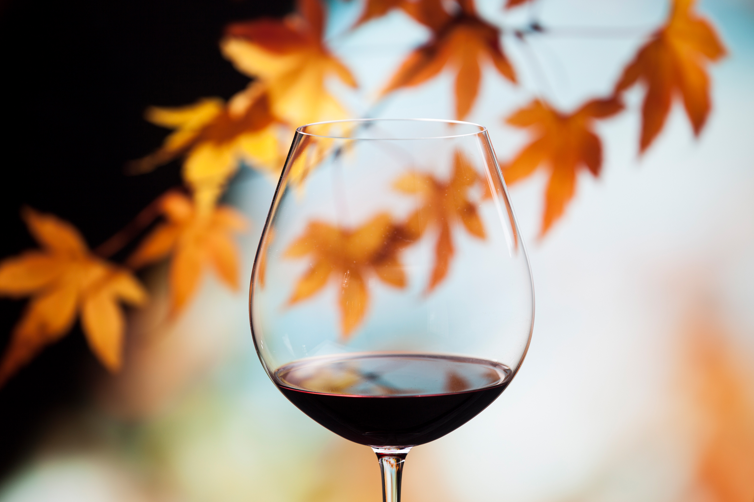 Big autumn cooking calls for big wines that hold their own