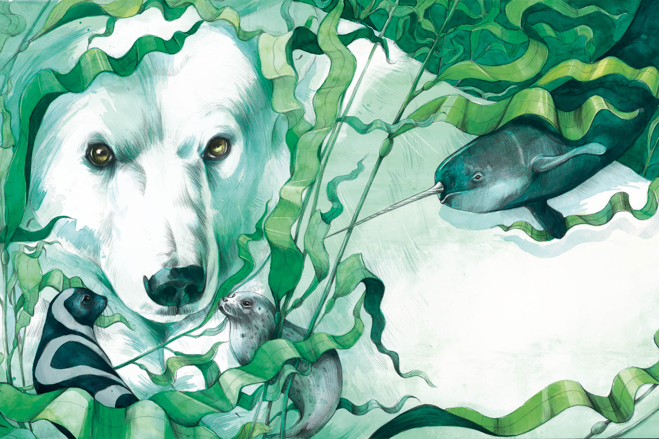 Picture books of the month: where the wild things are