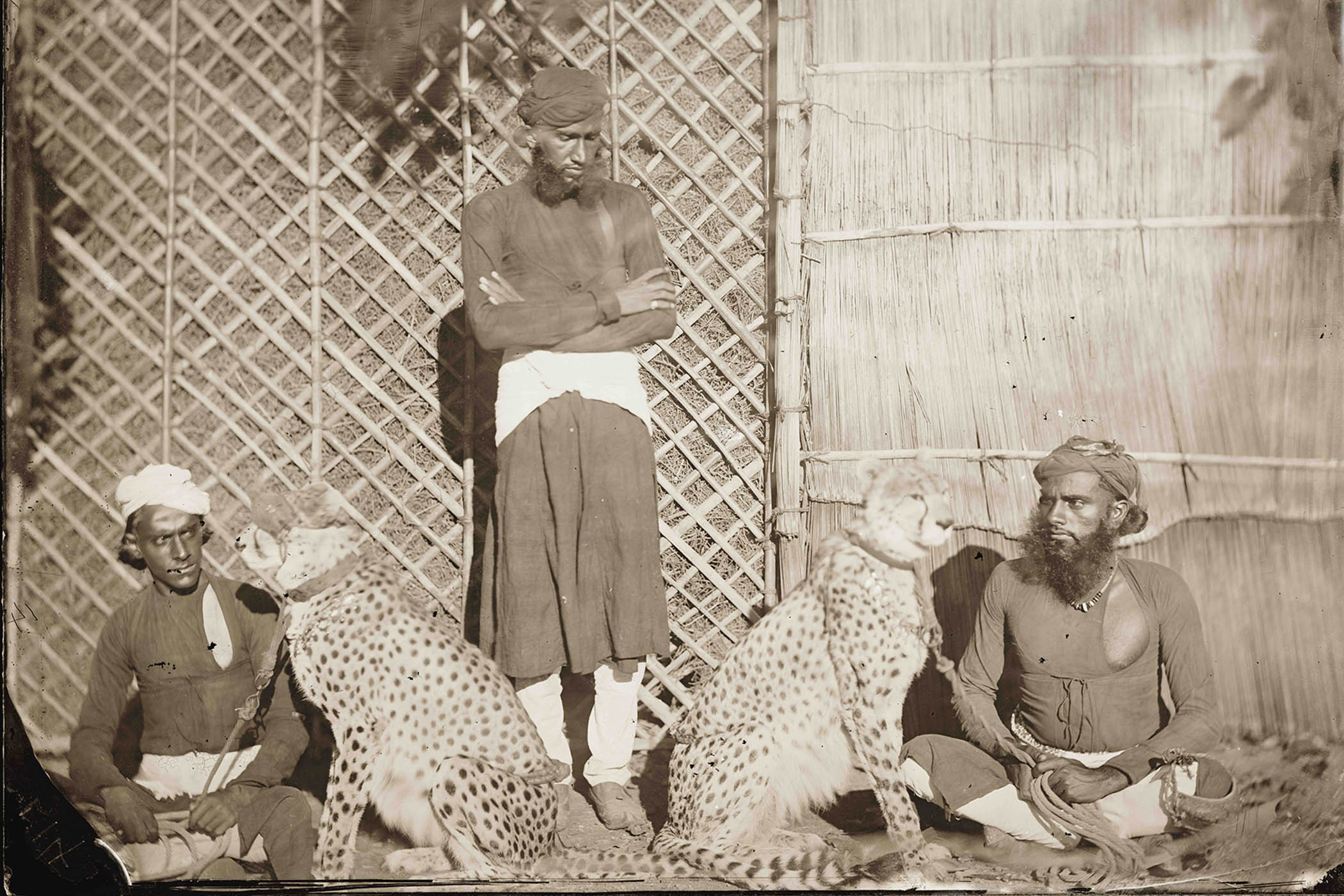 The grid: colonial views of India