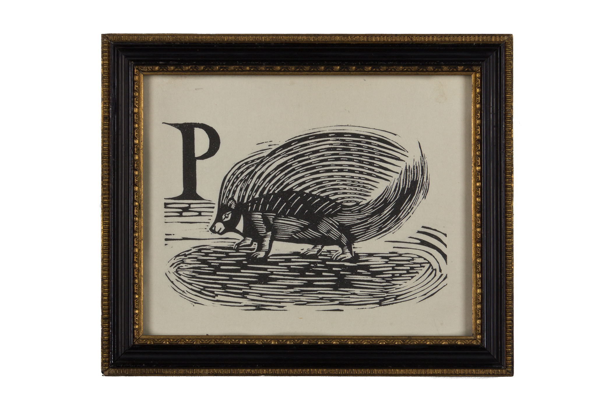Marx’s ‘sweetly smiling’ illustration of P for Porcupine