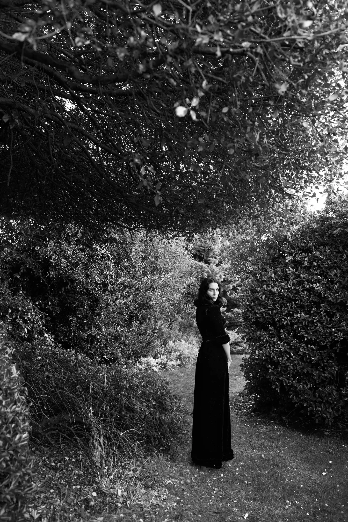 Susie Cave, Brighton, 2016