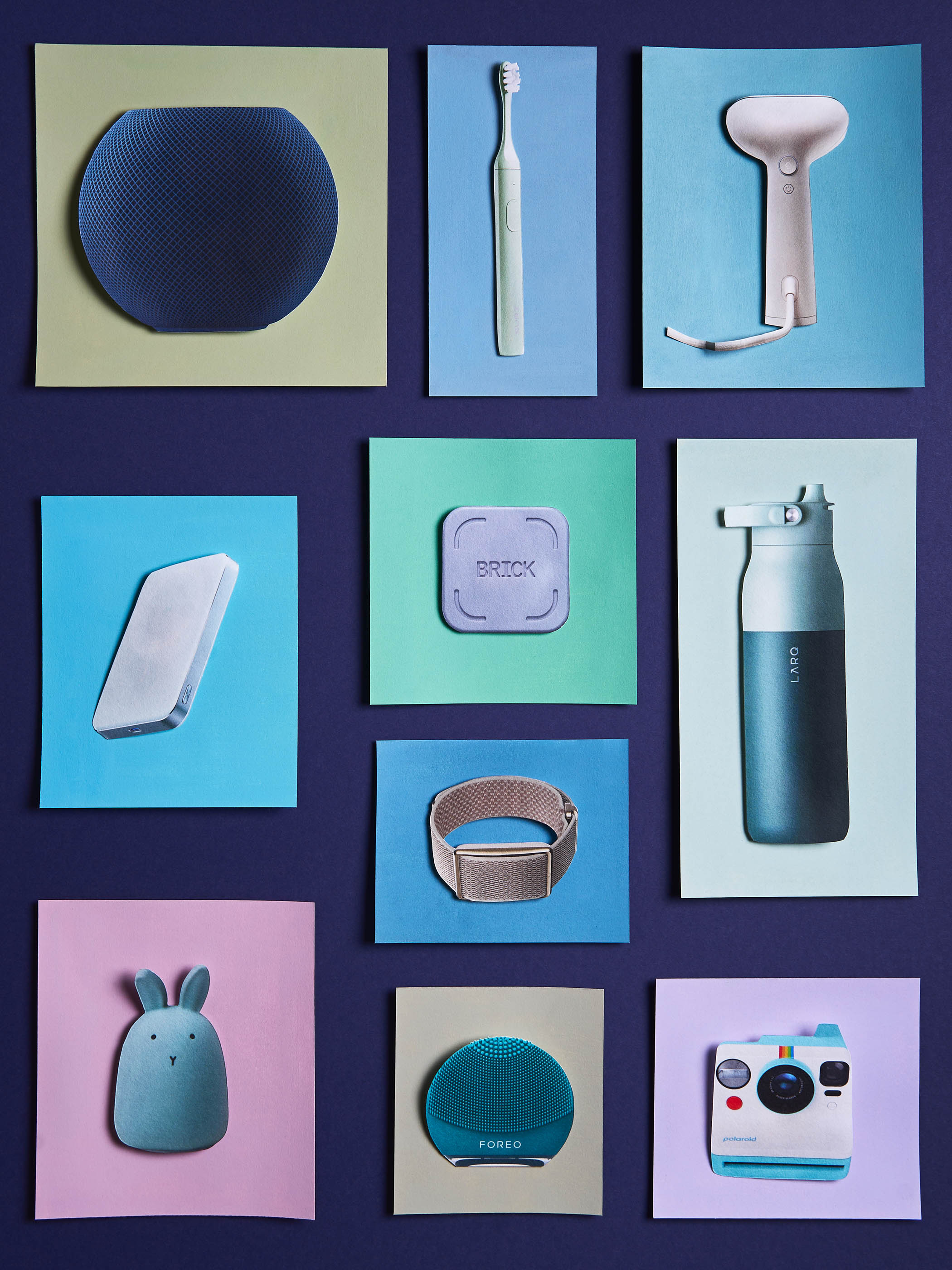 Illustrations by Alma Haser