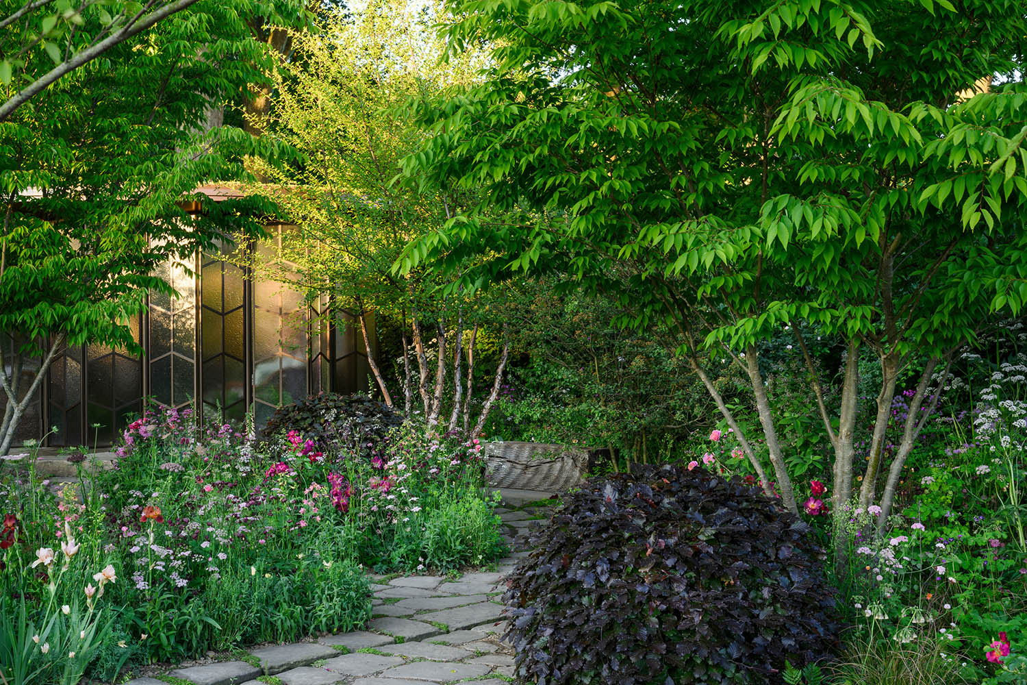 The Glasshouse Garden at the RHS Chelsea Flower Show 2025. Image by Jason Ingram