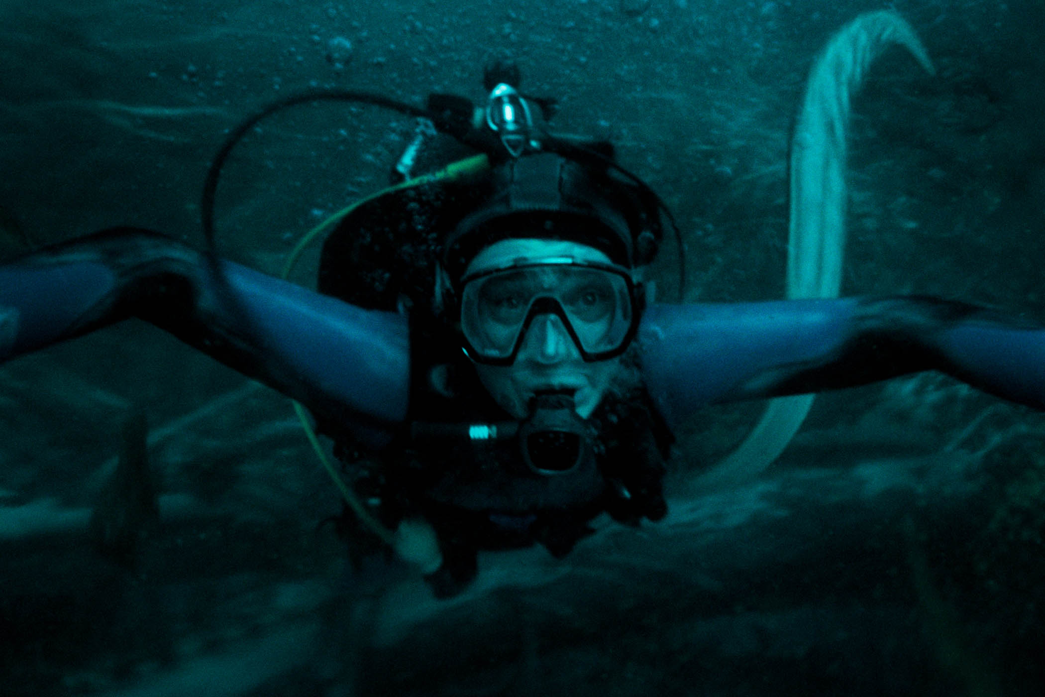 Whalefall – this gross-out ocean survival thriller has blubber and guts
