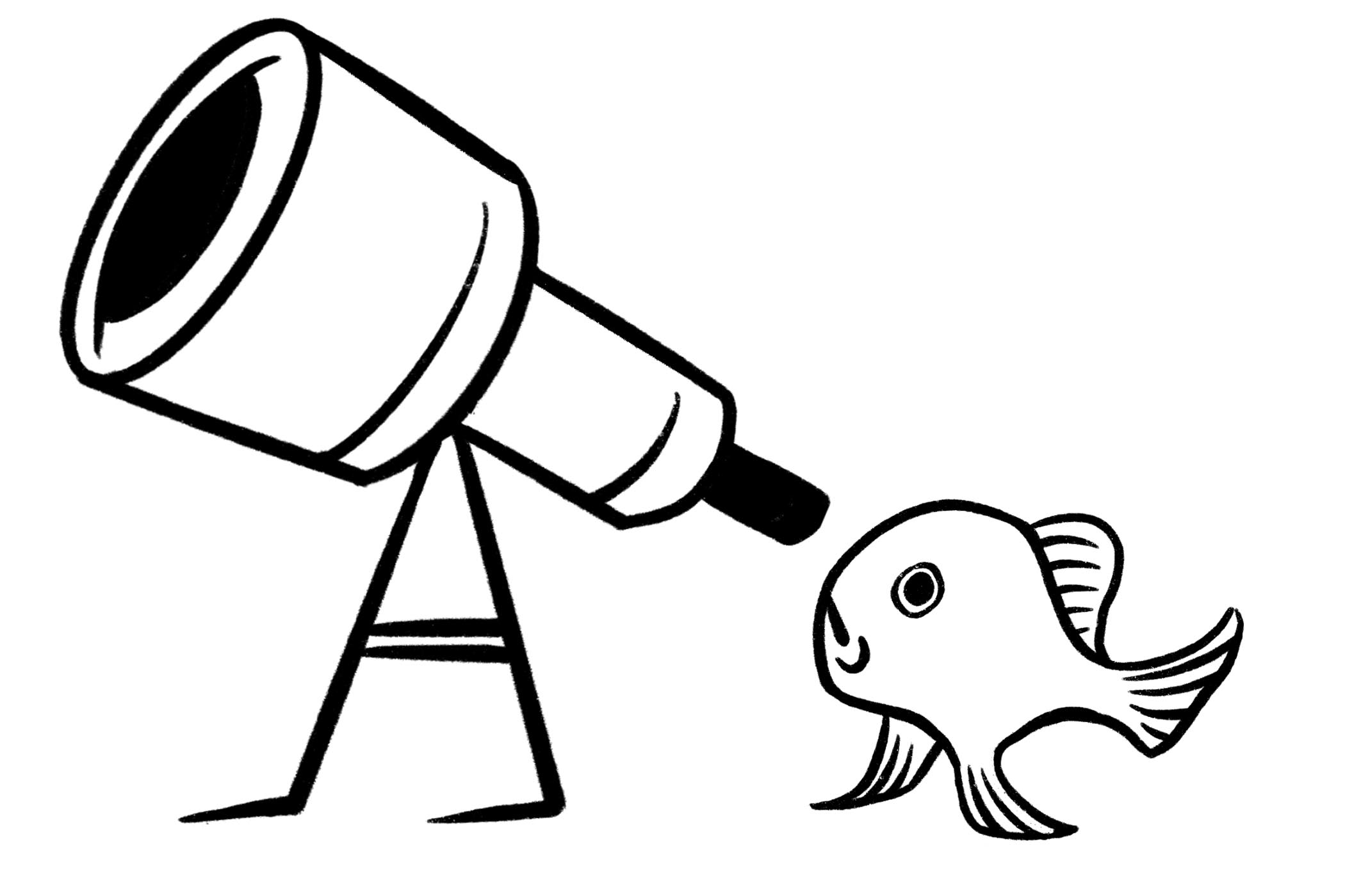 There are plenty more fish in the sea to name