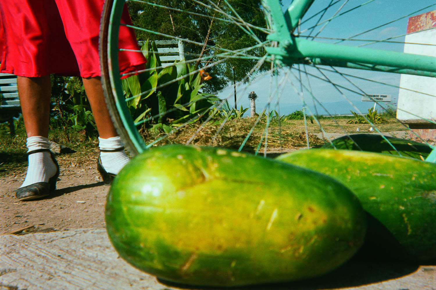 The grid: David Katzenstein’s fuzz-toned travel photos