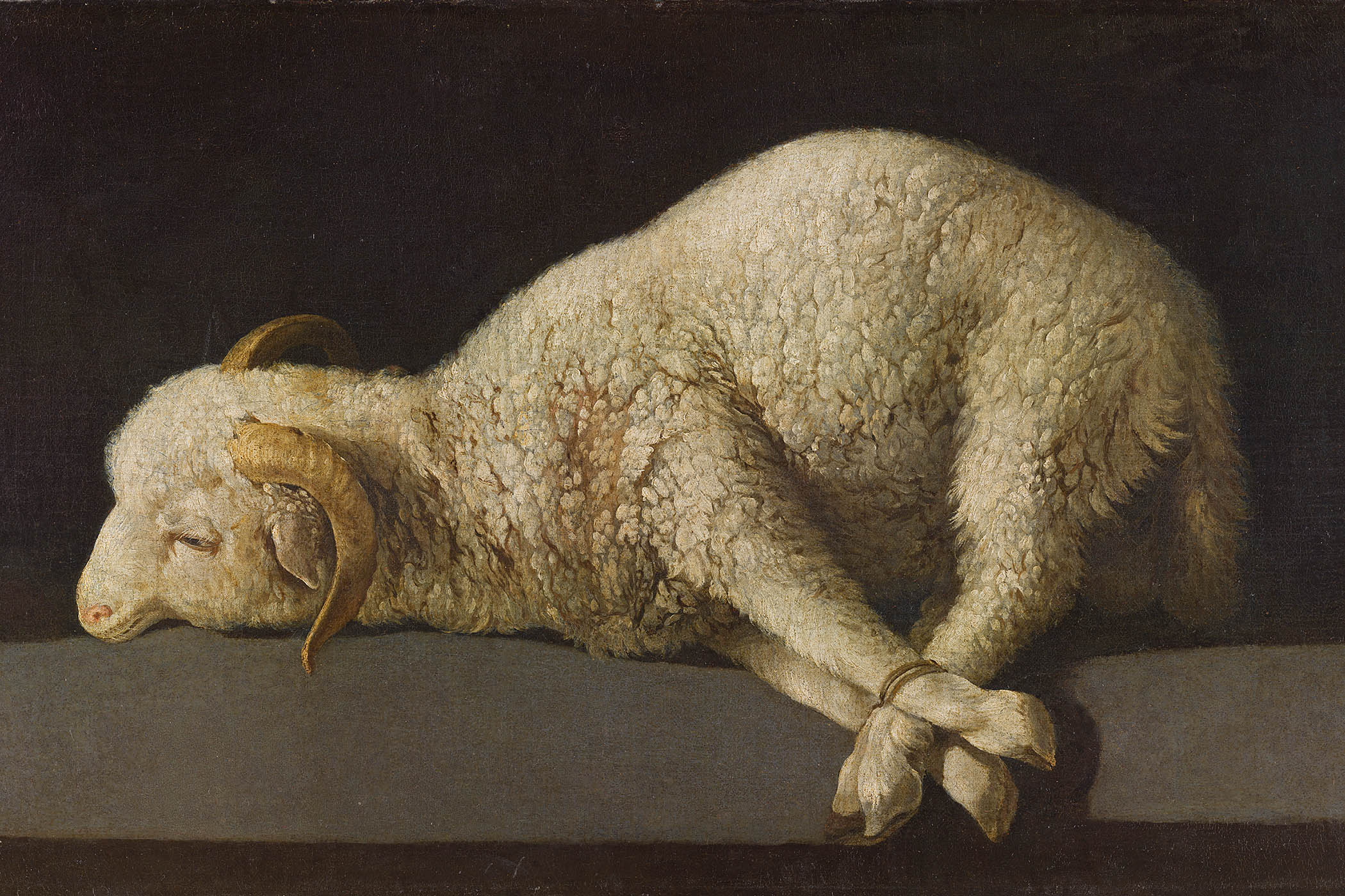 Agnus Dei