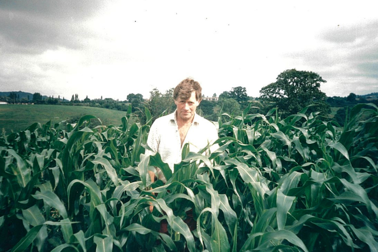The UK’s toxic export: banned weedkiller
