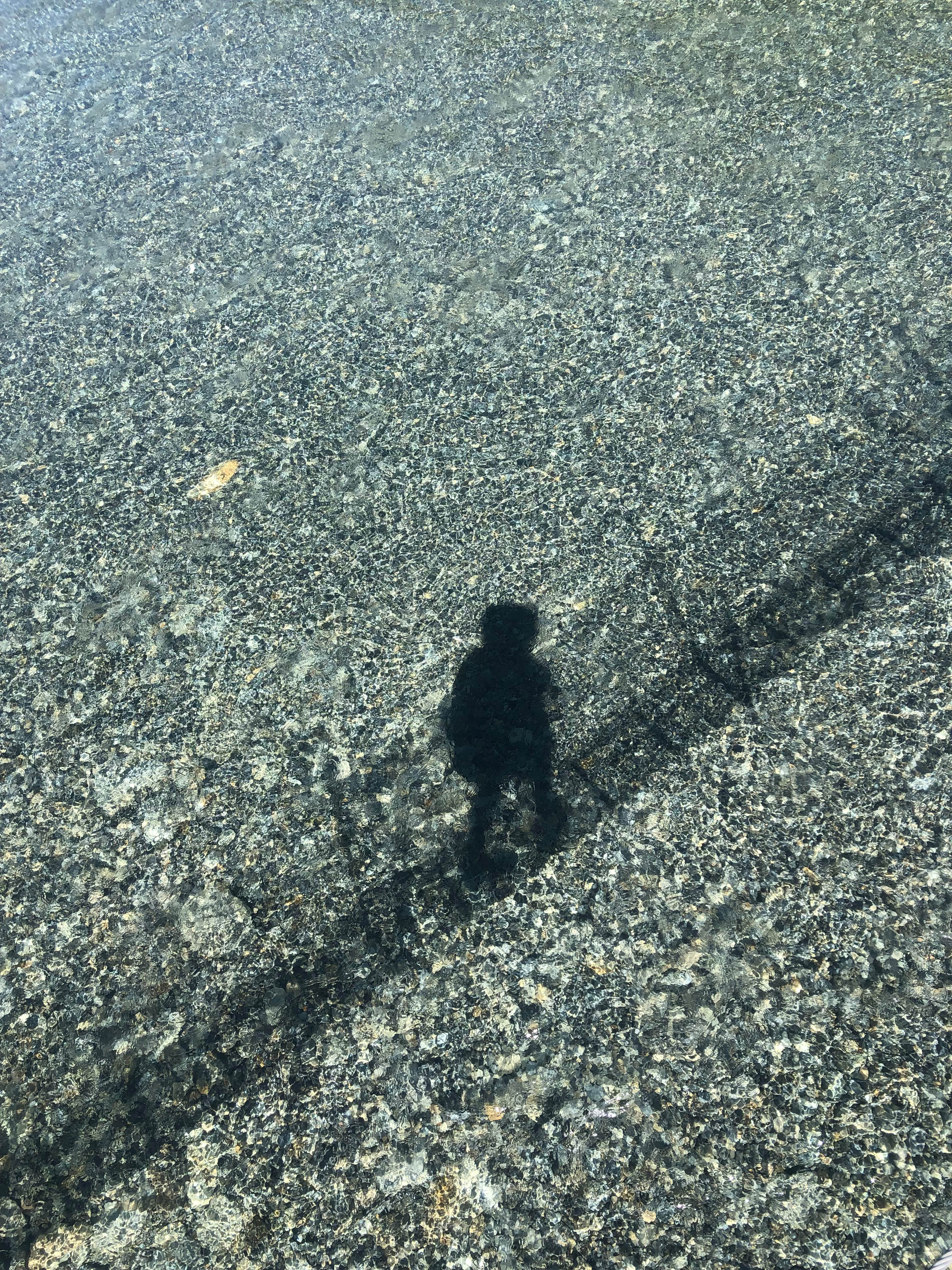 A river runs through it: Claire crosses a swing-bridge over the Te Hoiere / Pelorus River in Marlborough
