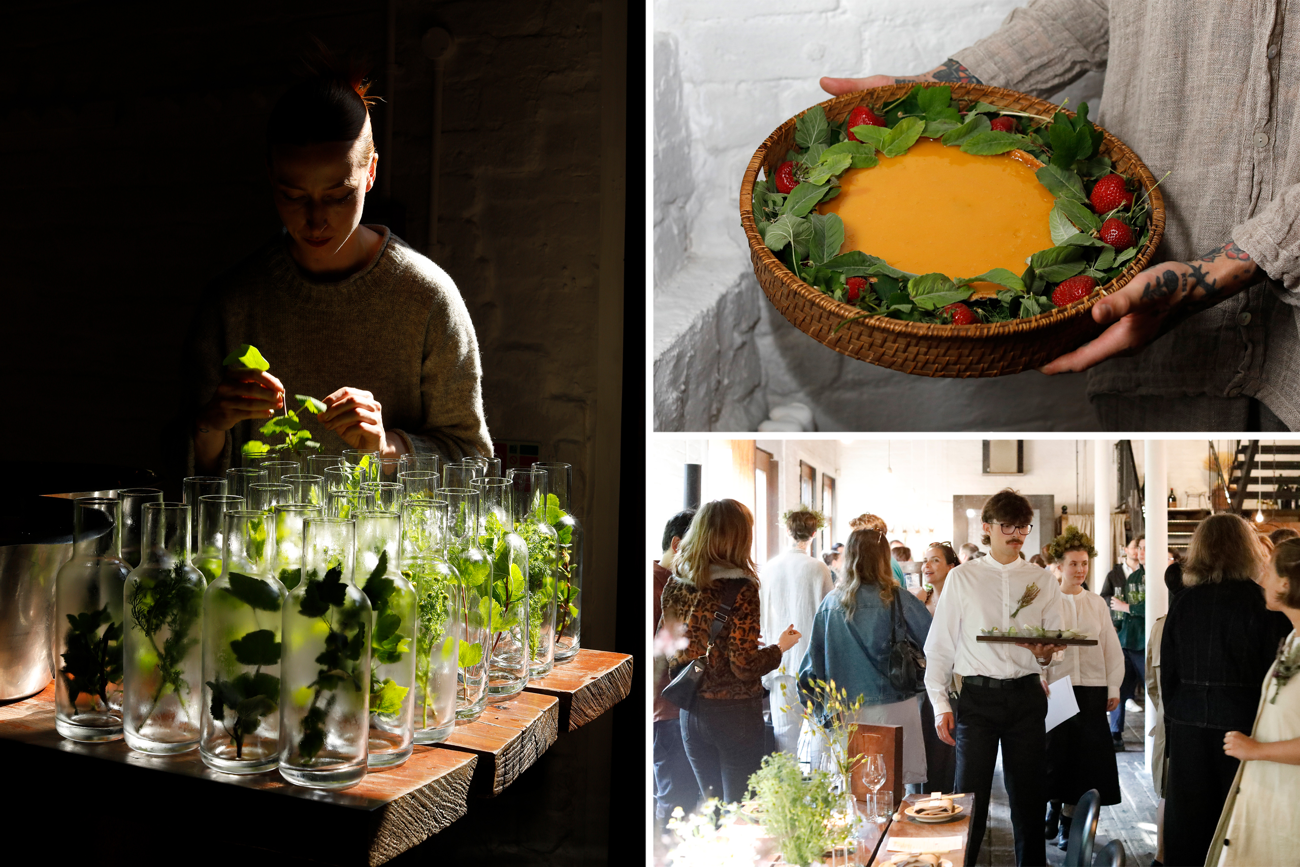 Timberyard x Higher Ground’s summer solstice event