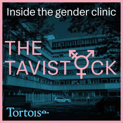 The noise | The Tavistock Ep 5