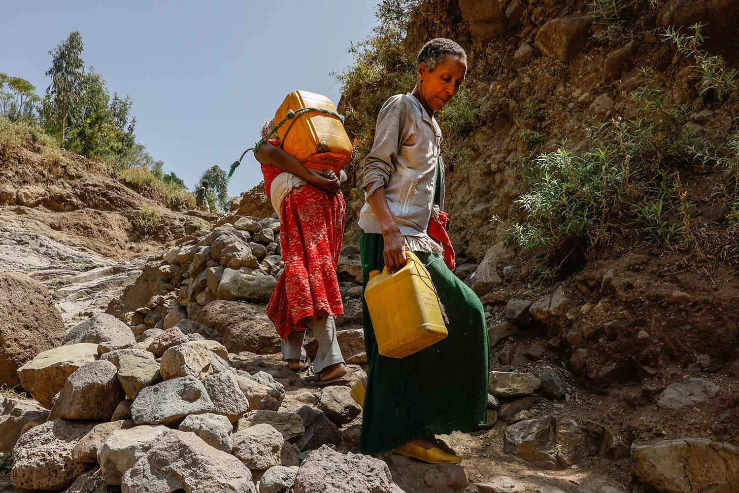Elif Shafak: our rivers are dying – and it’s ﻿a feminist issue