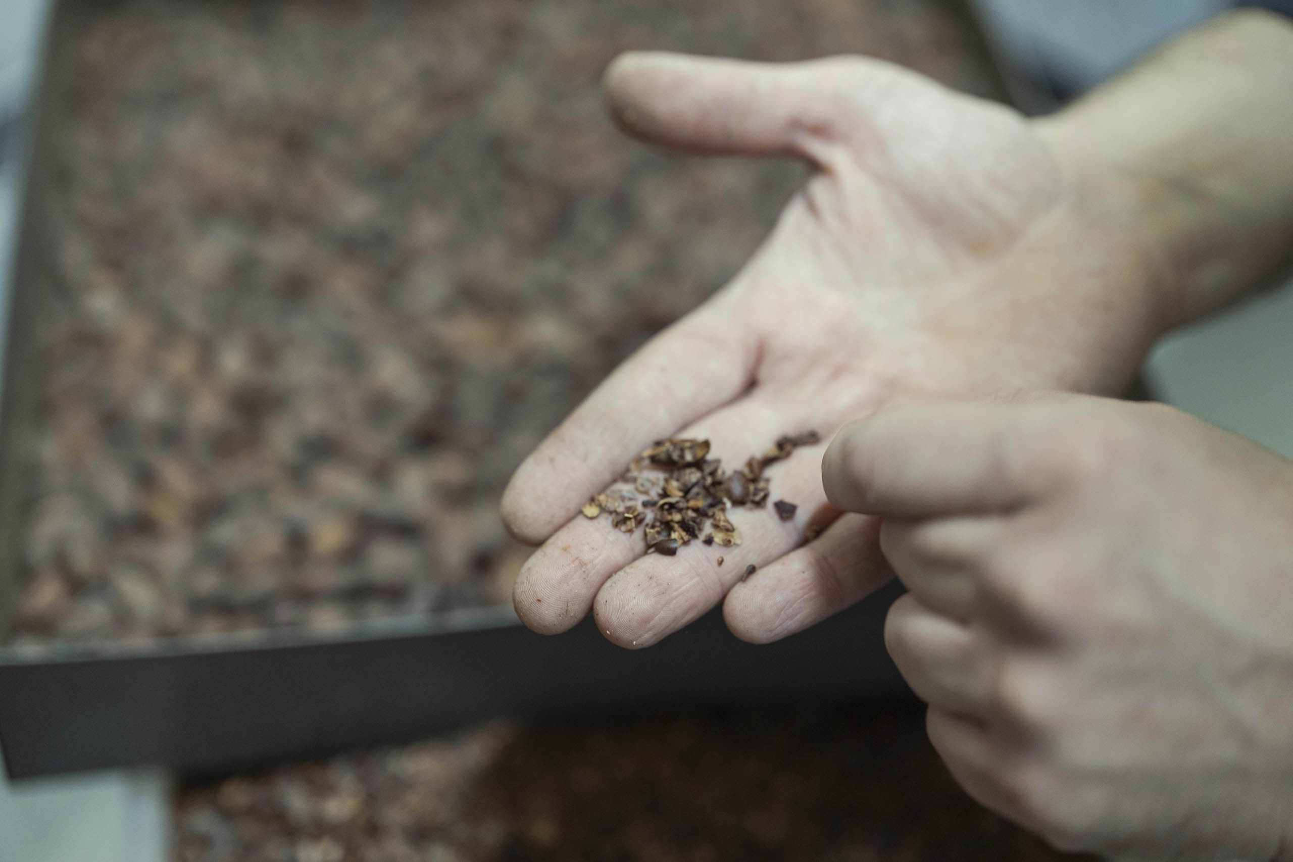 From bean to bar: hands on with the raw ingredient