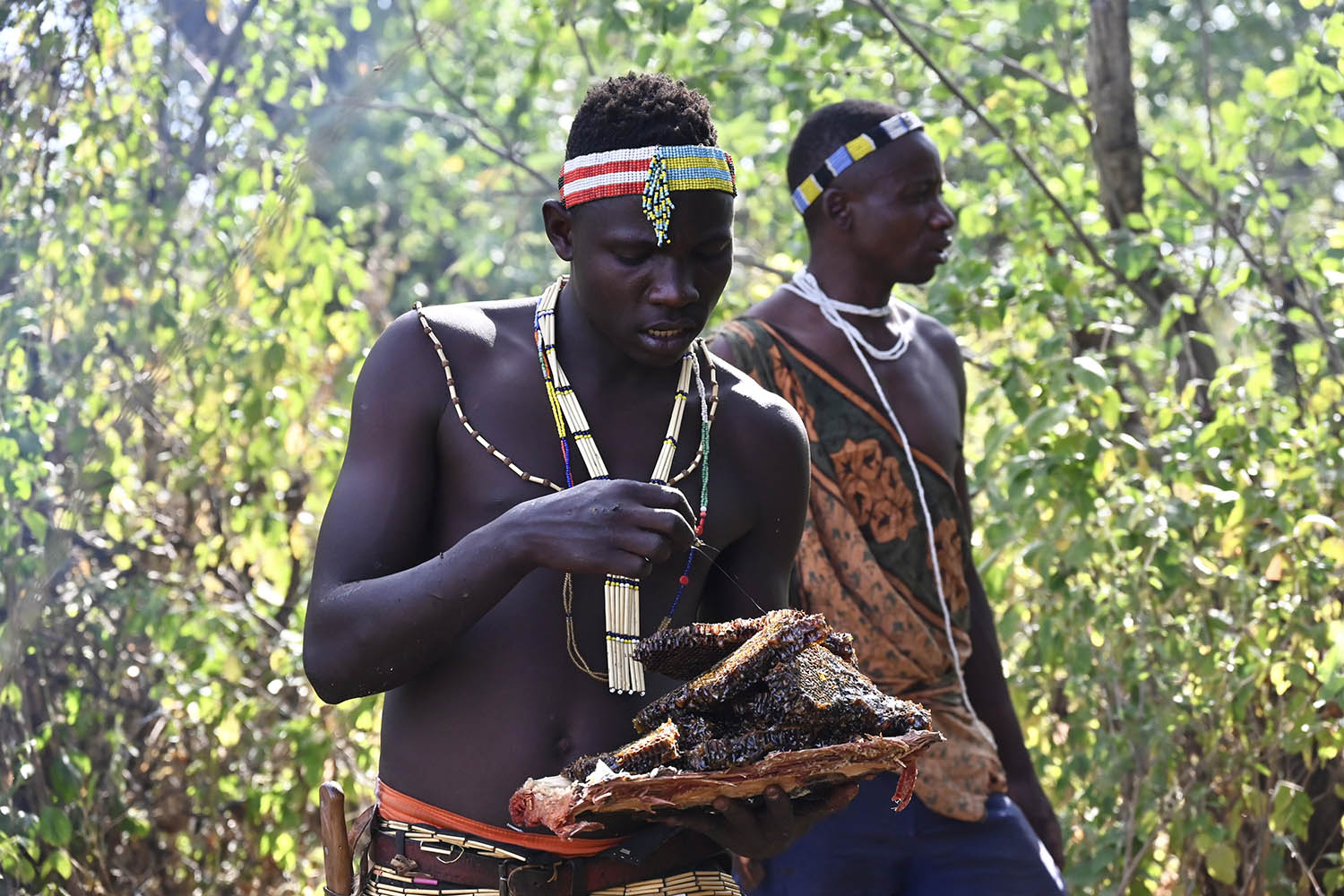 one of article images