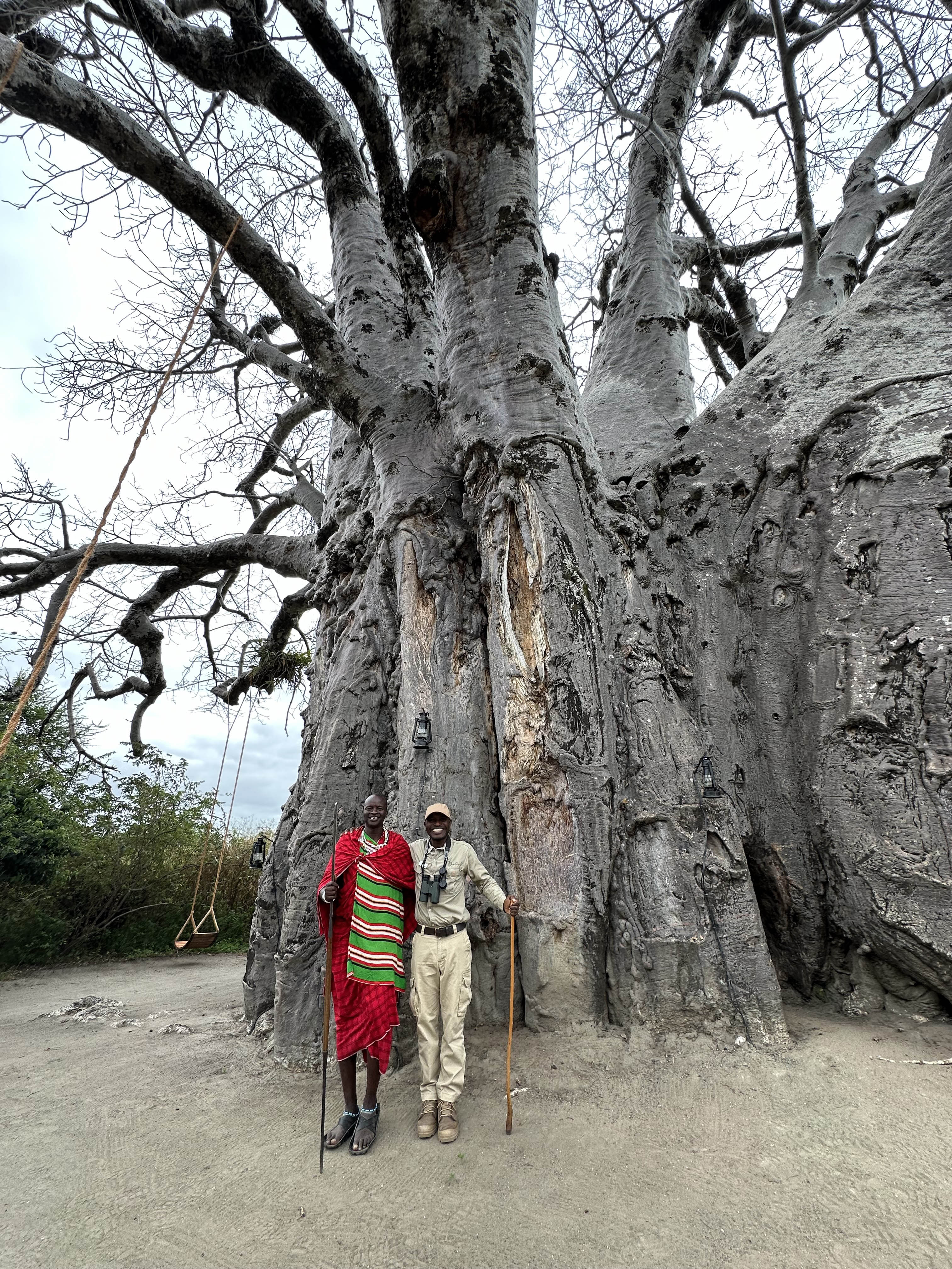 one of article images