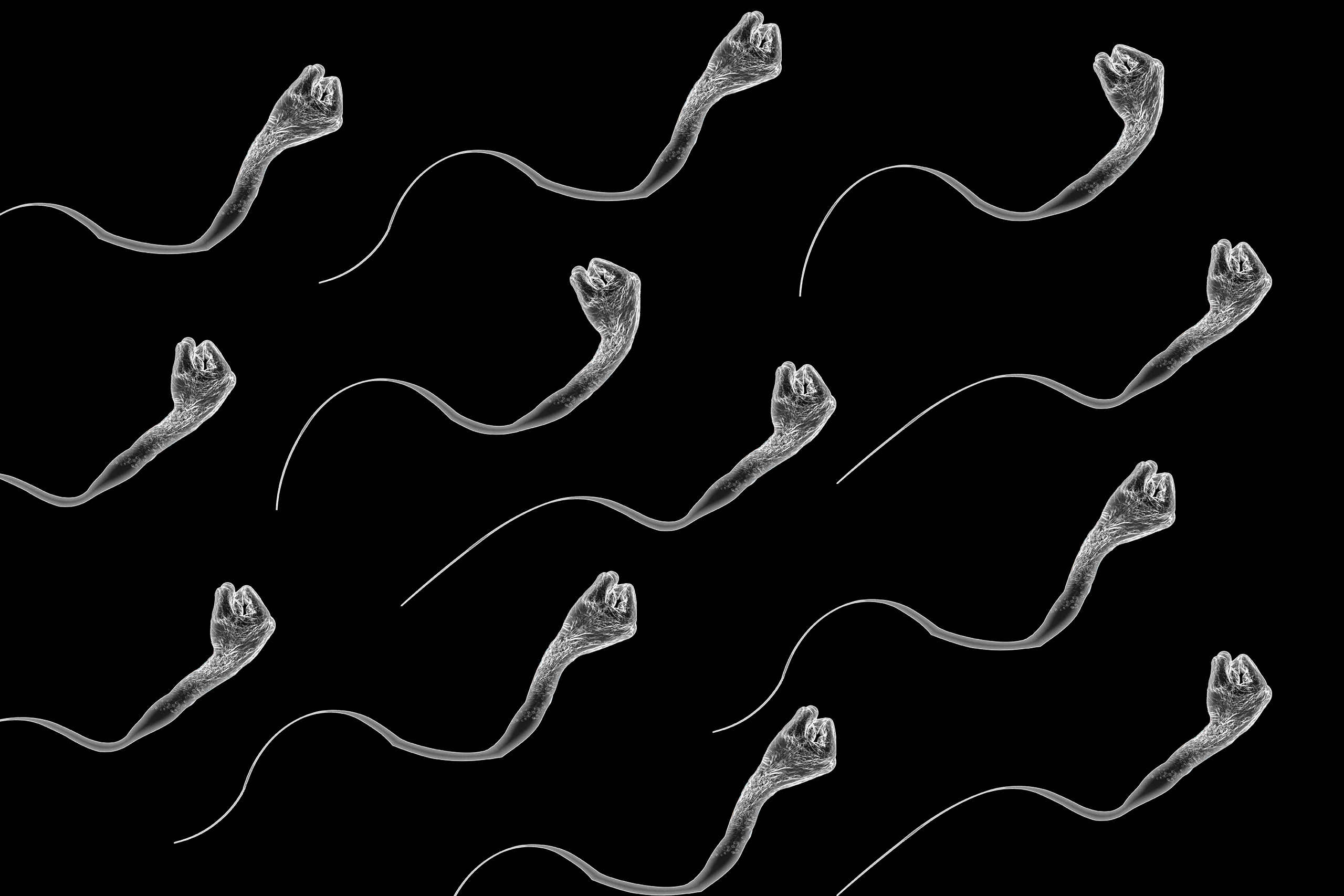 The spermmaxxing industry is full of bad seeds